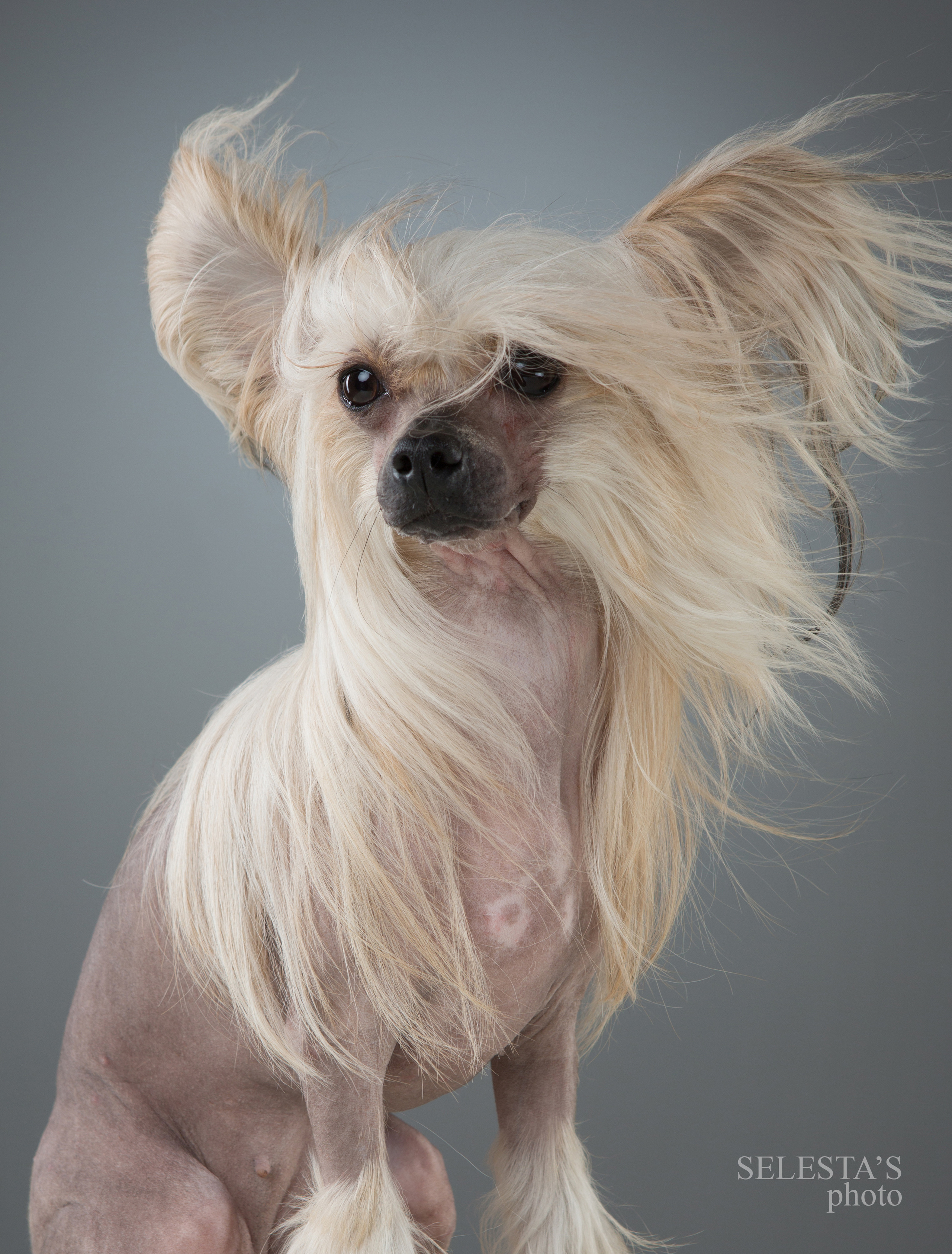 Студиія. Фотограф Катерина Мумжинська