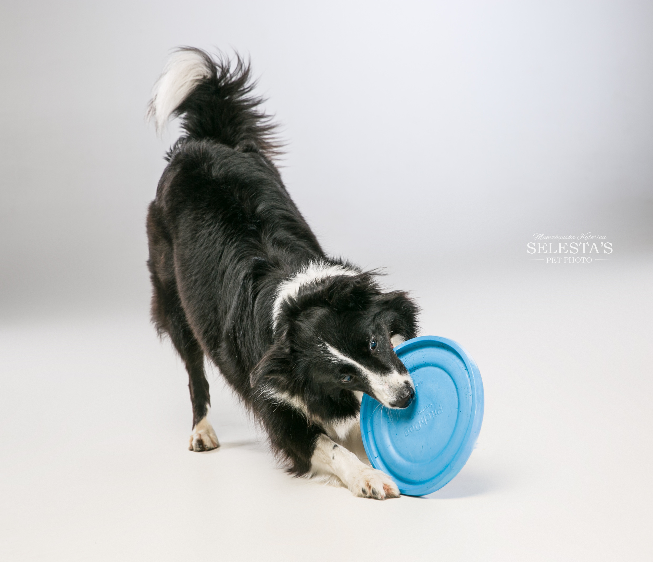 Аdvertising. Pets and people photographer Kateryna Mumzhynska