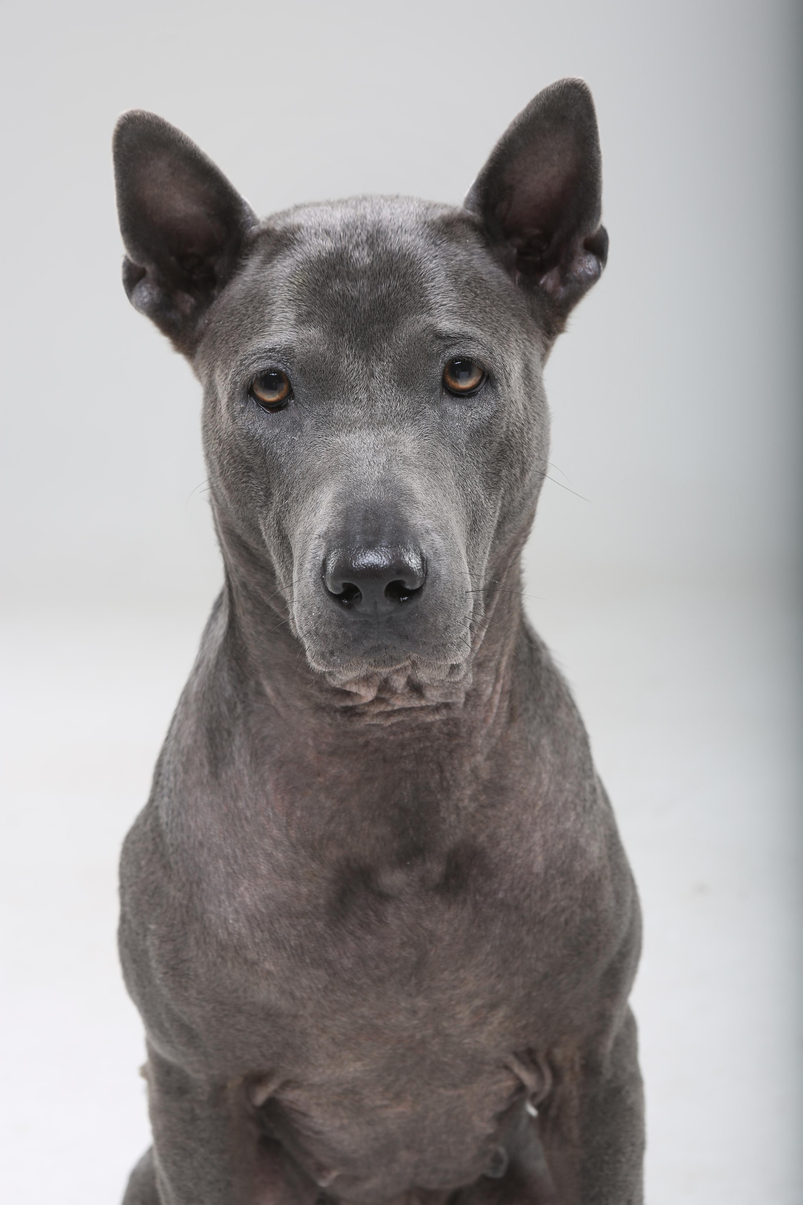 Студиія. Фотограф Катерина Мумжинська