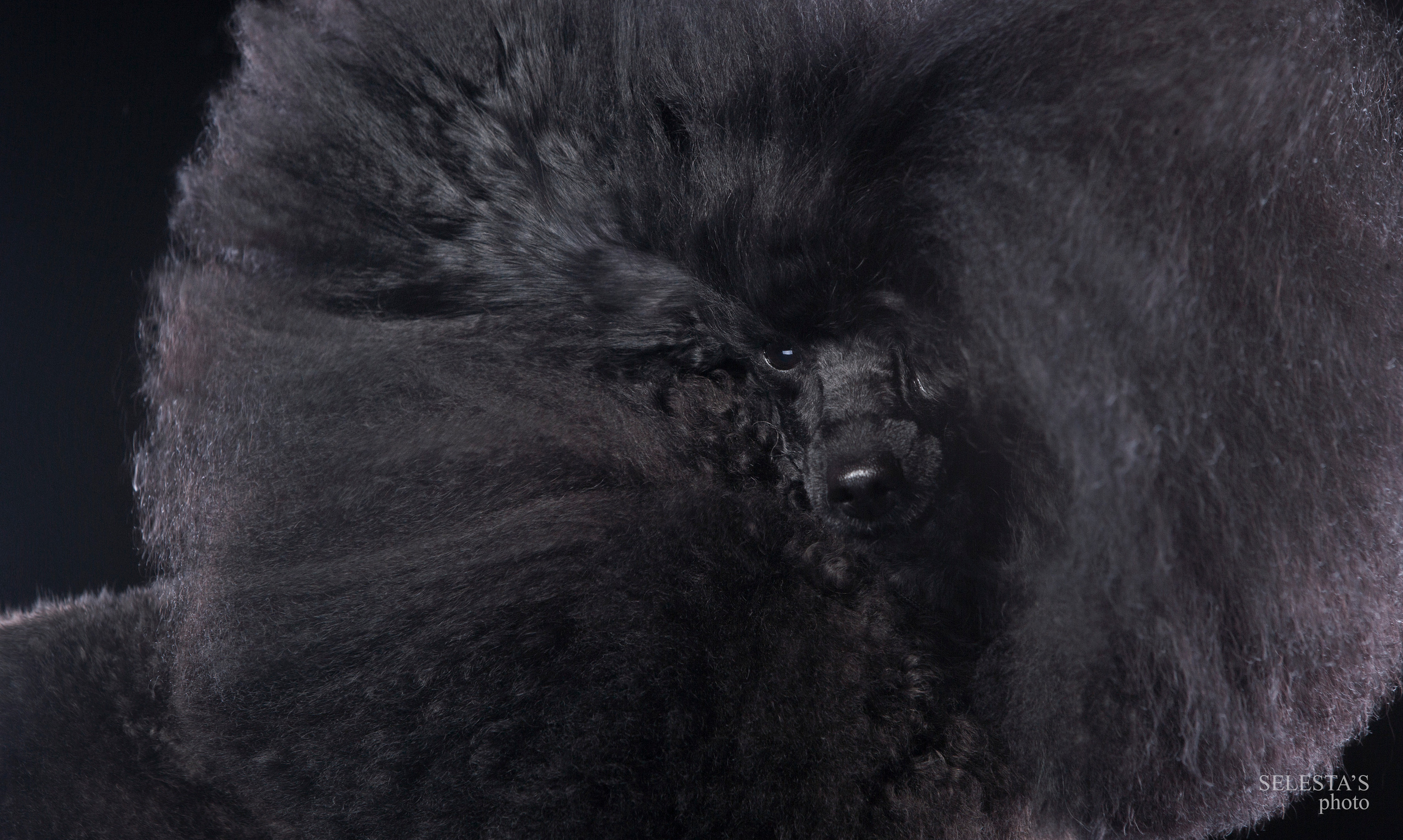 Студиія. Фотограф Катерина Мумжинська