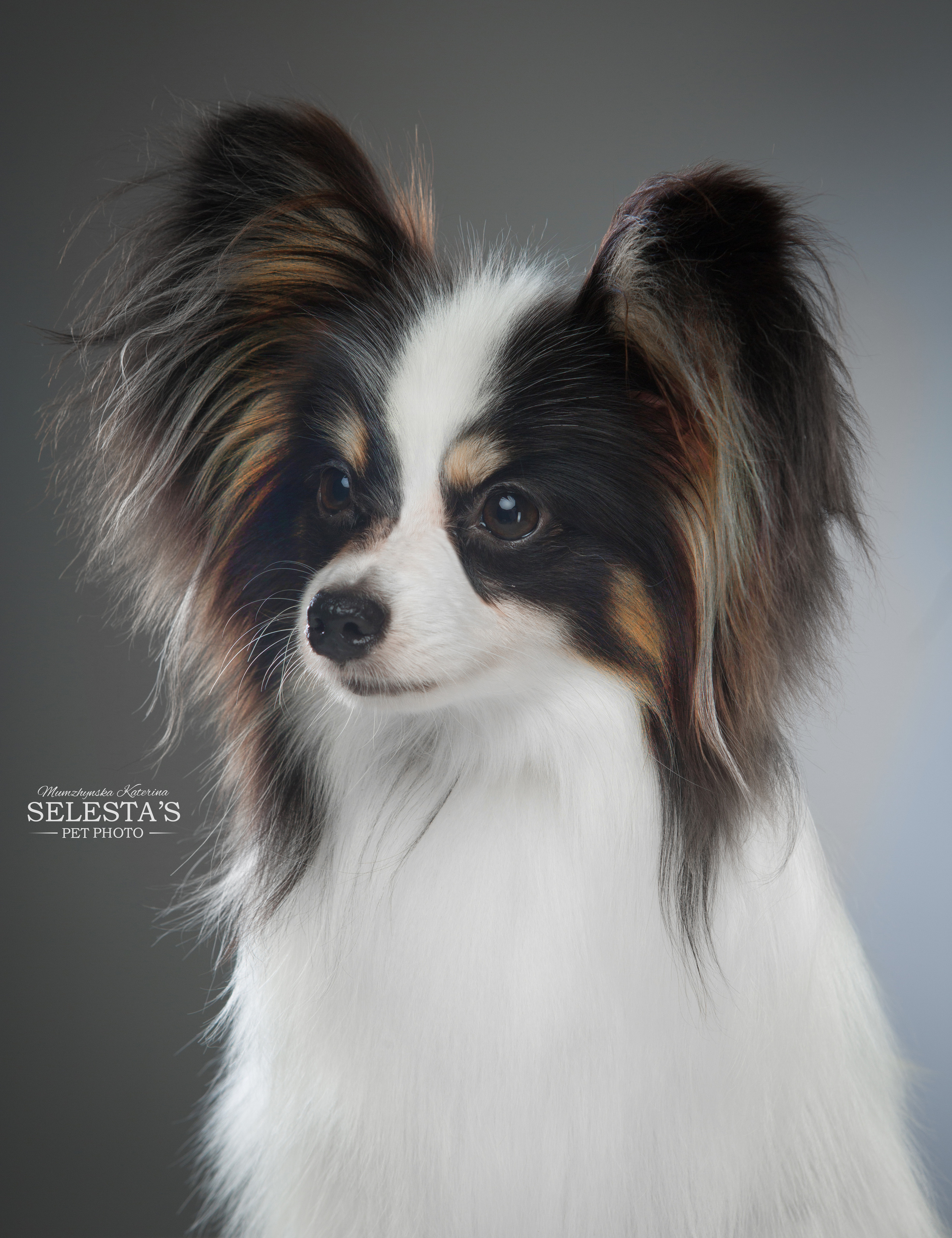 Студиія. Фотограф Катерина Мумжинська