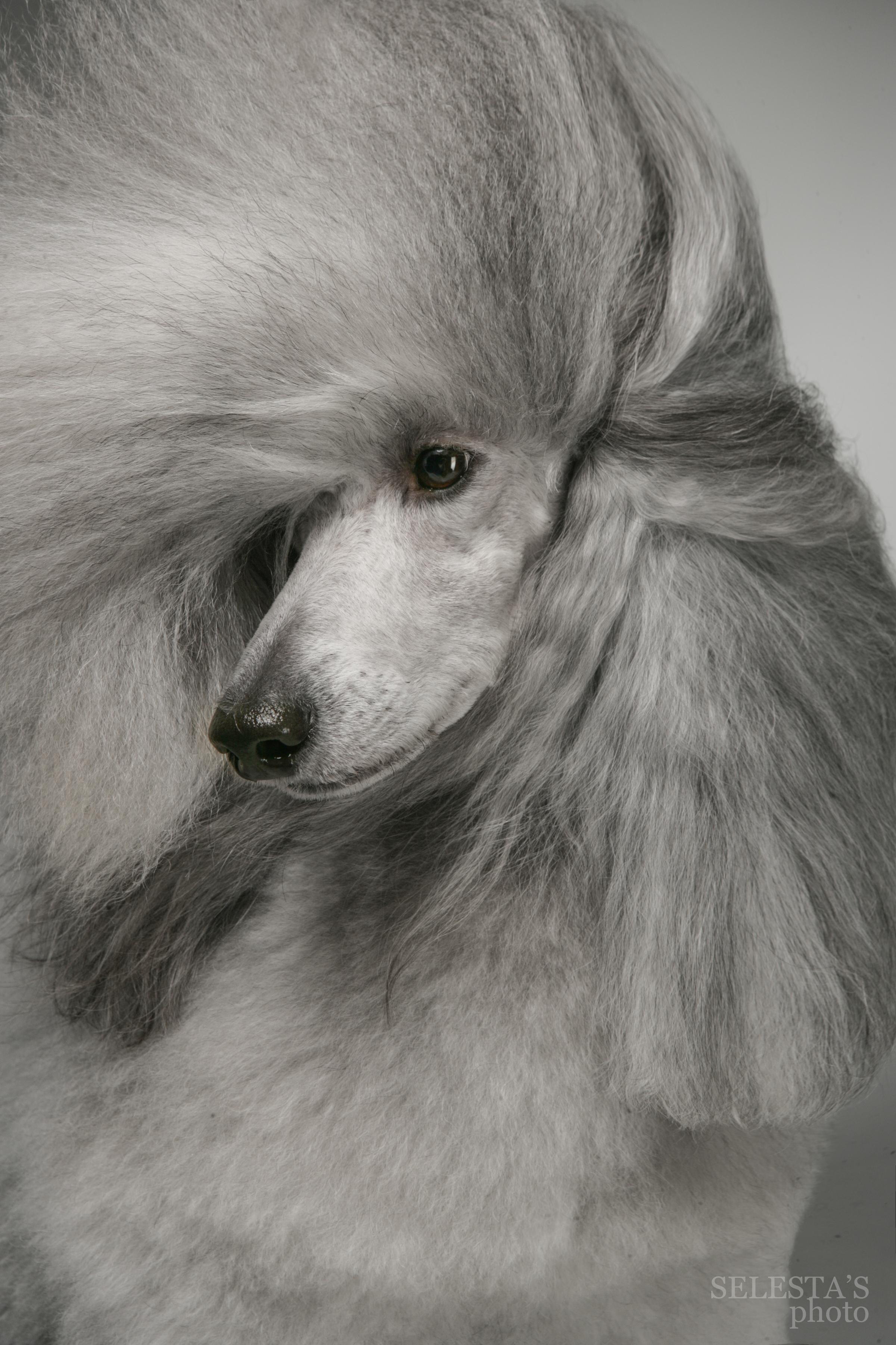 Студиія. Фотограф Катерина Мумжинська