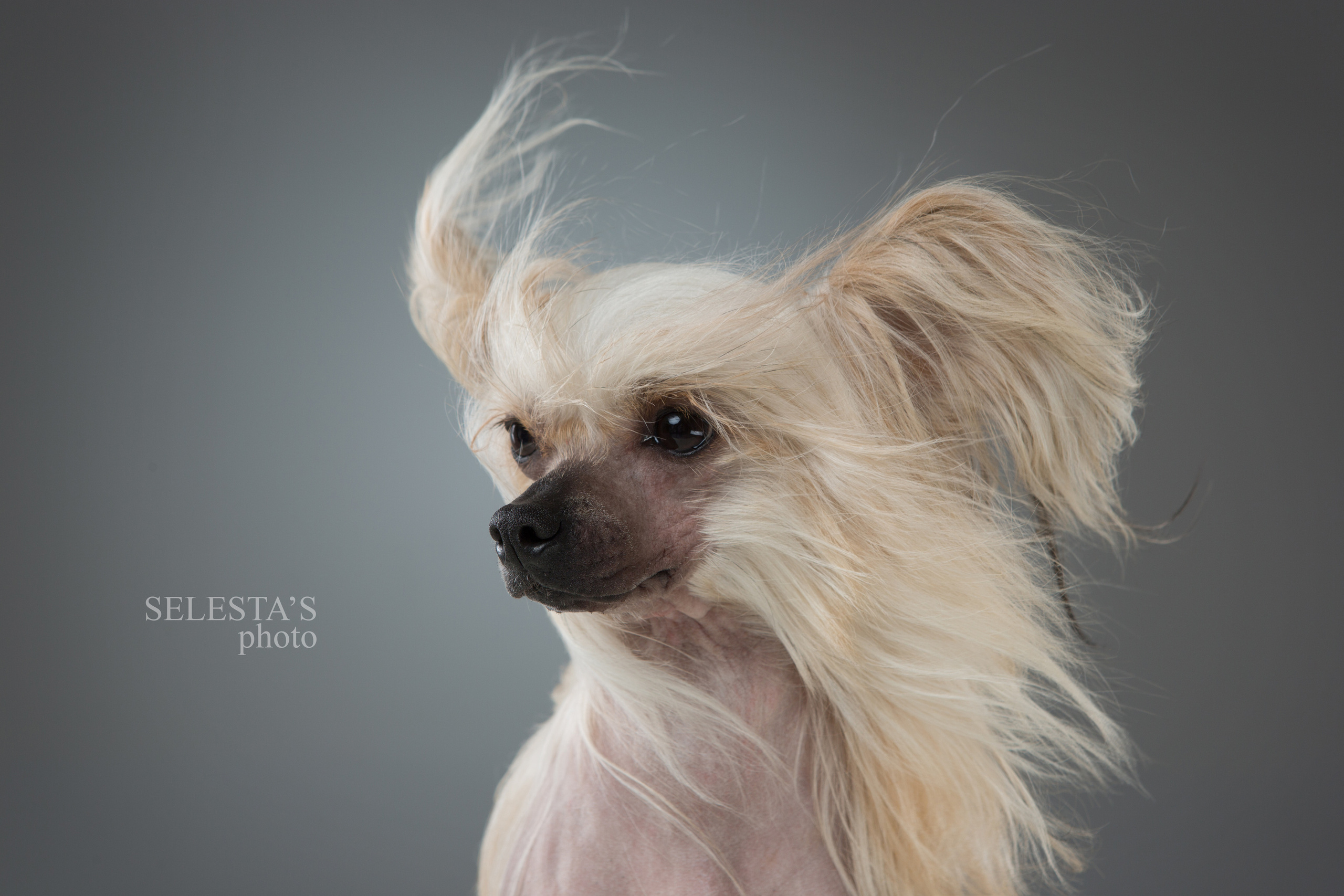 Студиія. Фотограф Катерина Мумжинська