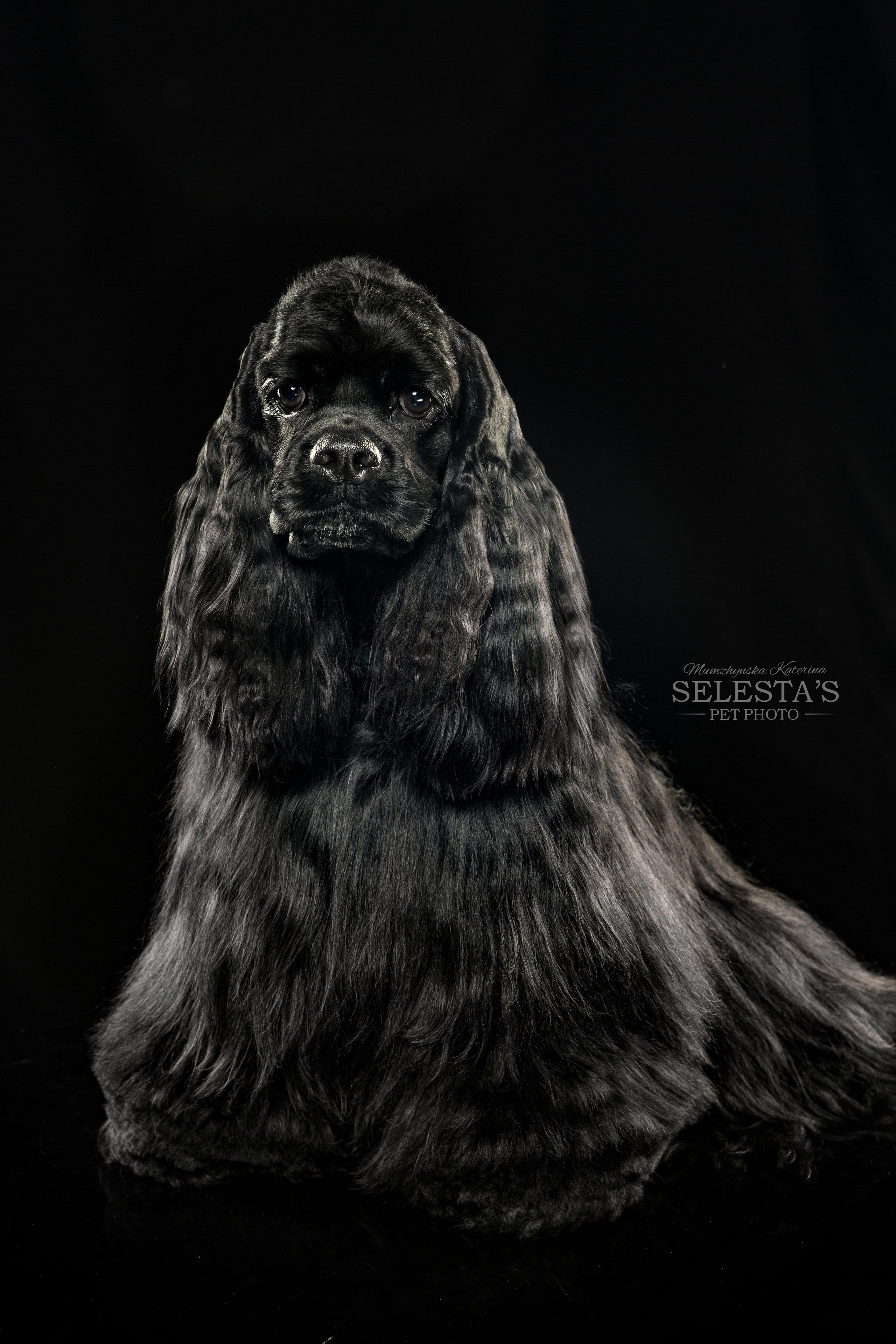 Студиія. Фотограф Катерина Мумжинська