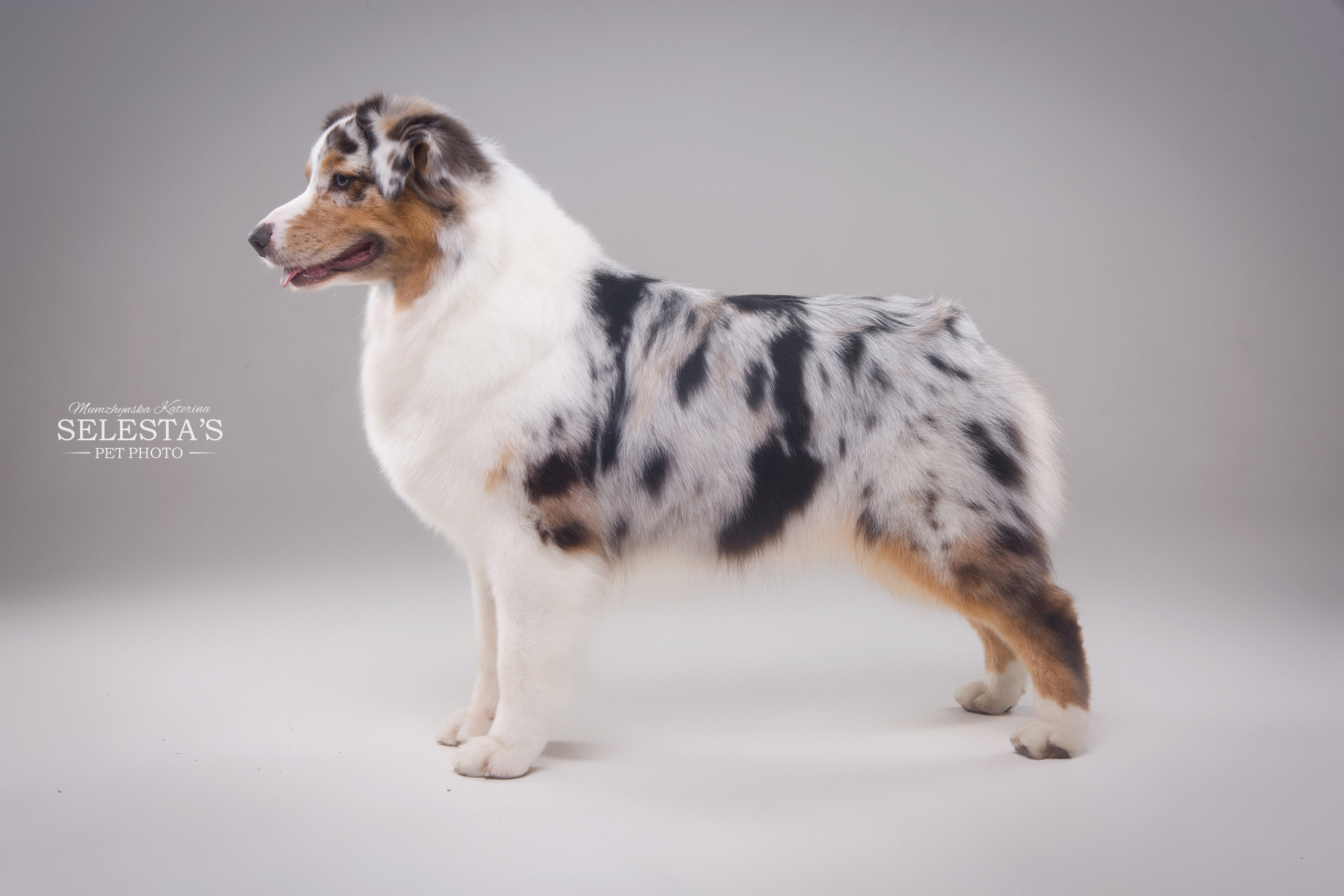 Студиія. Фотограф Катерина Мумжинська