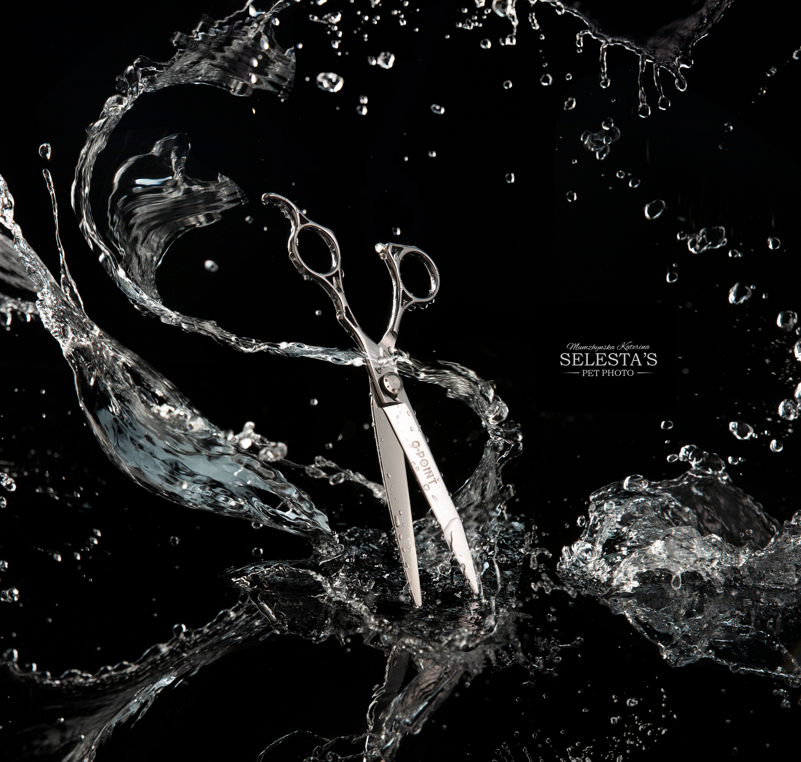 Аdvertising. Pets and people photographer Kateryna Mumzhynska