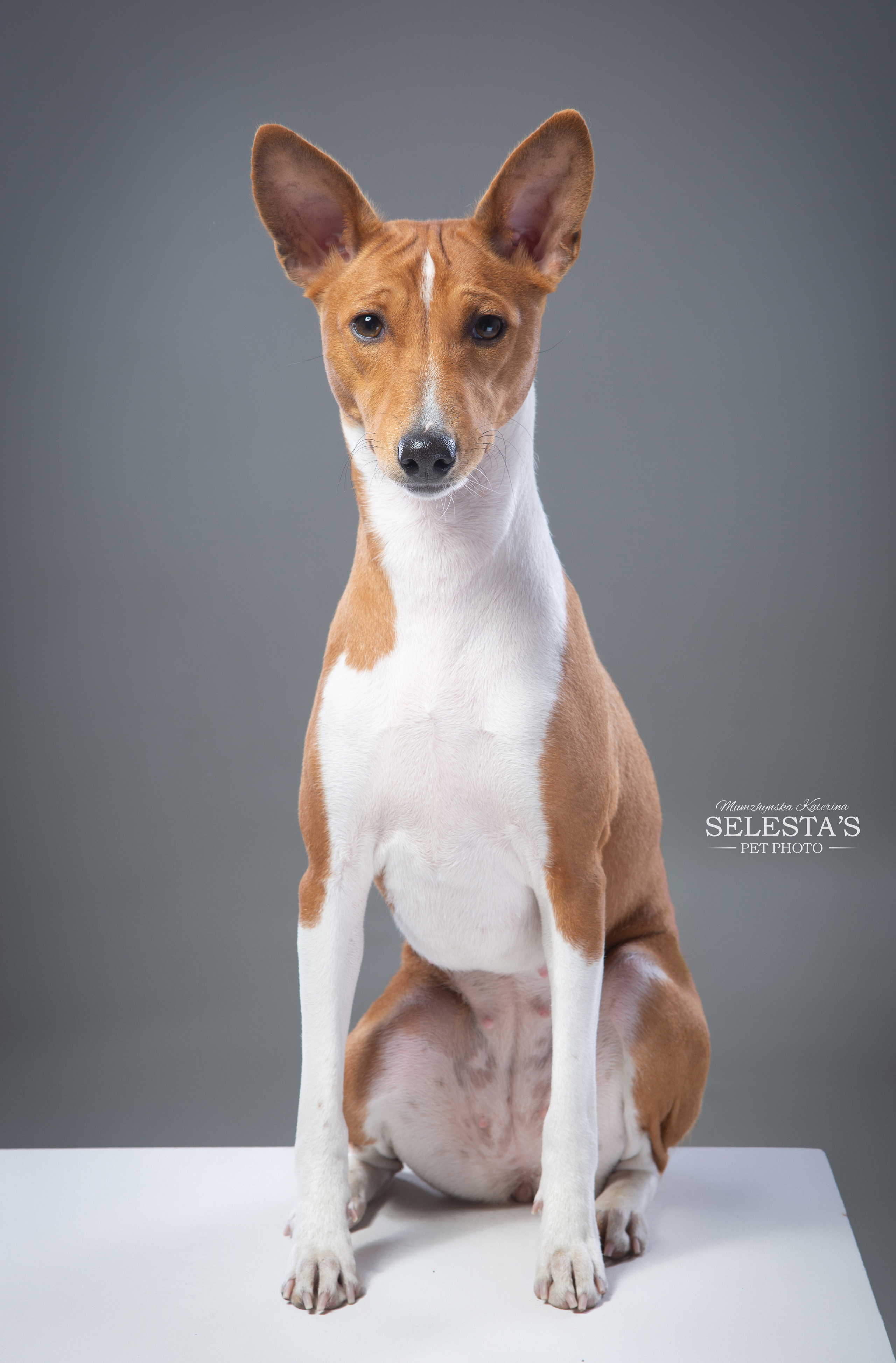 Студиія. Фотограф Катерина Мумжинська