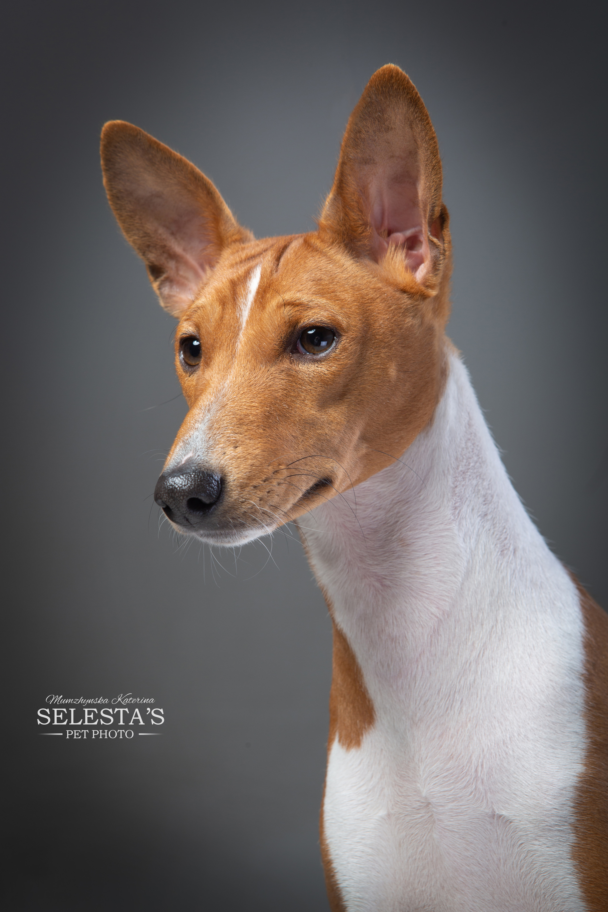 Студиія. Фотограф Катерина Мумжинська