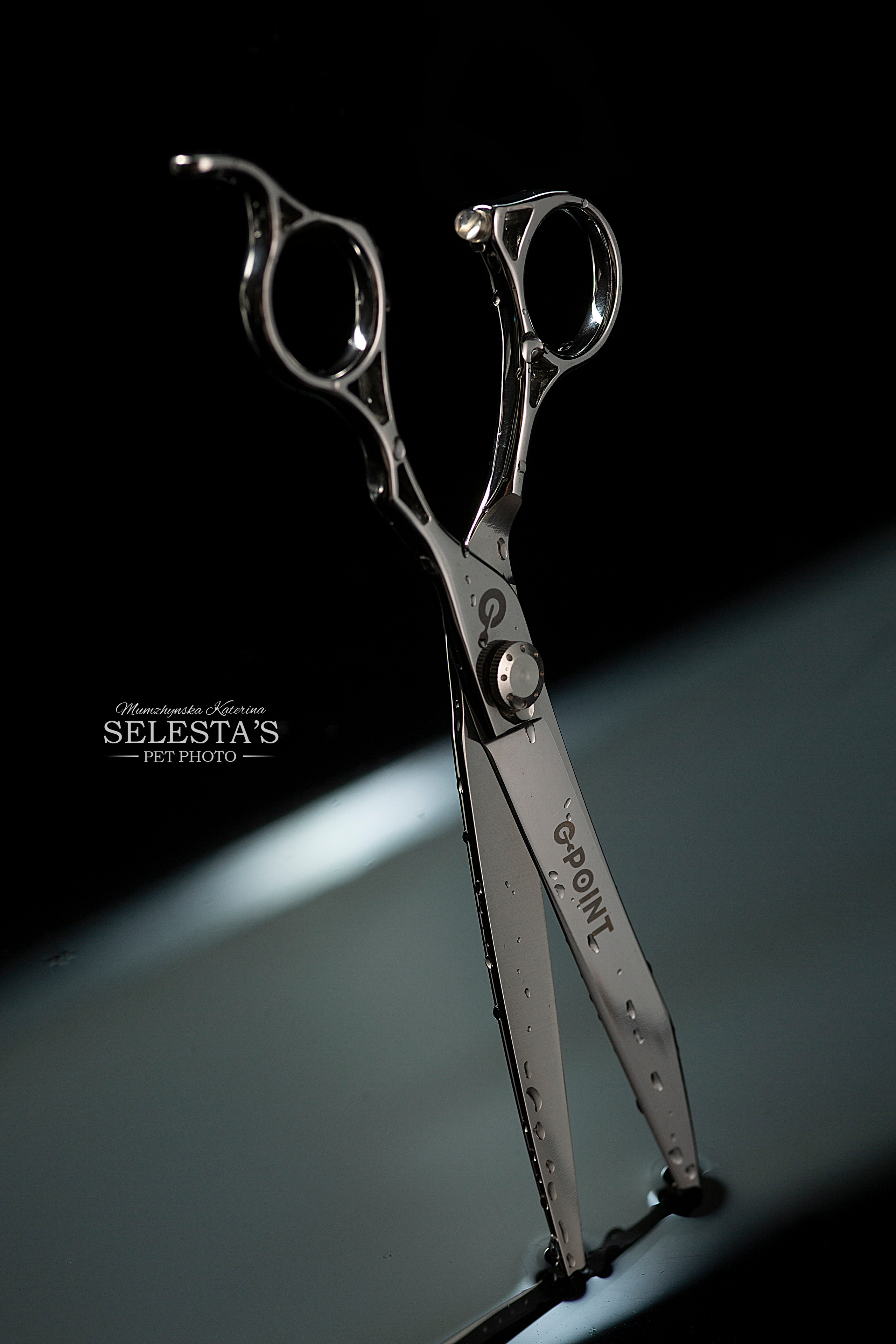 Аdvertising. Pets and people photographer Kateryna Mumzhynska