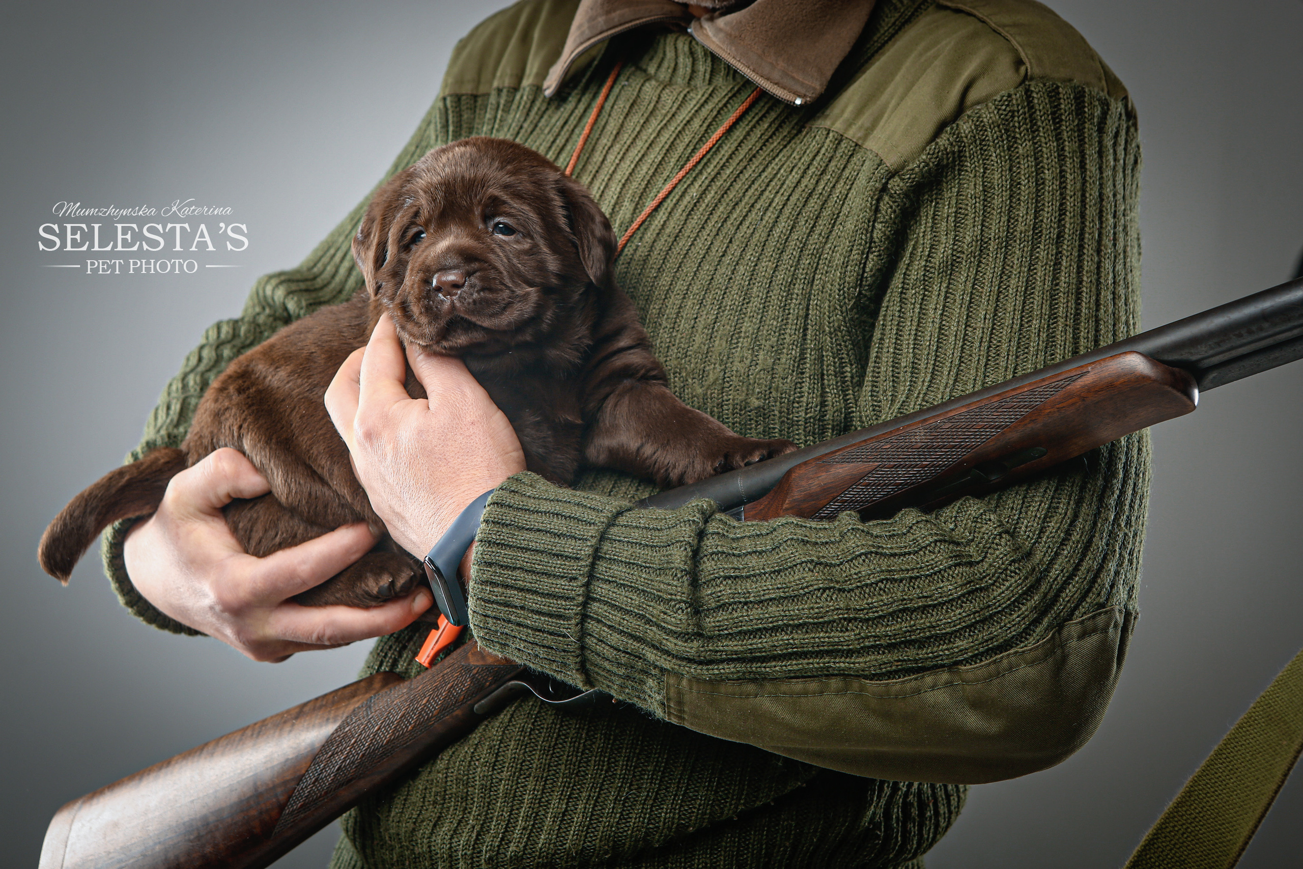 Pupies. Pets and people photographer Kateryna Mumzhynska