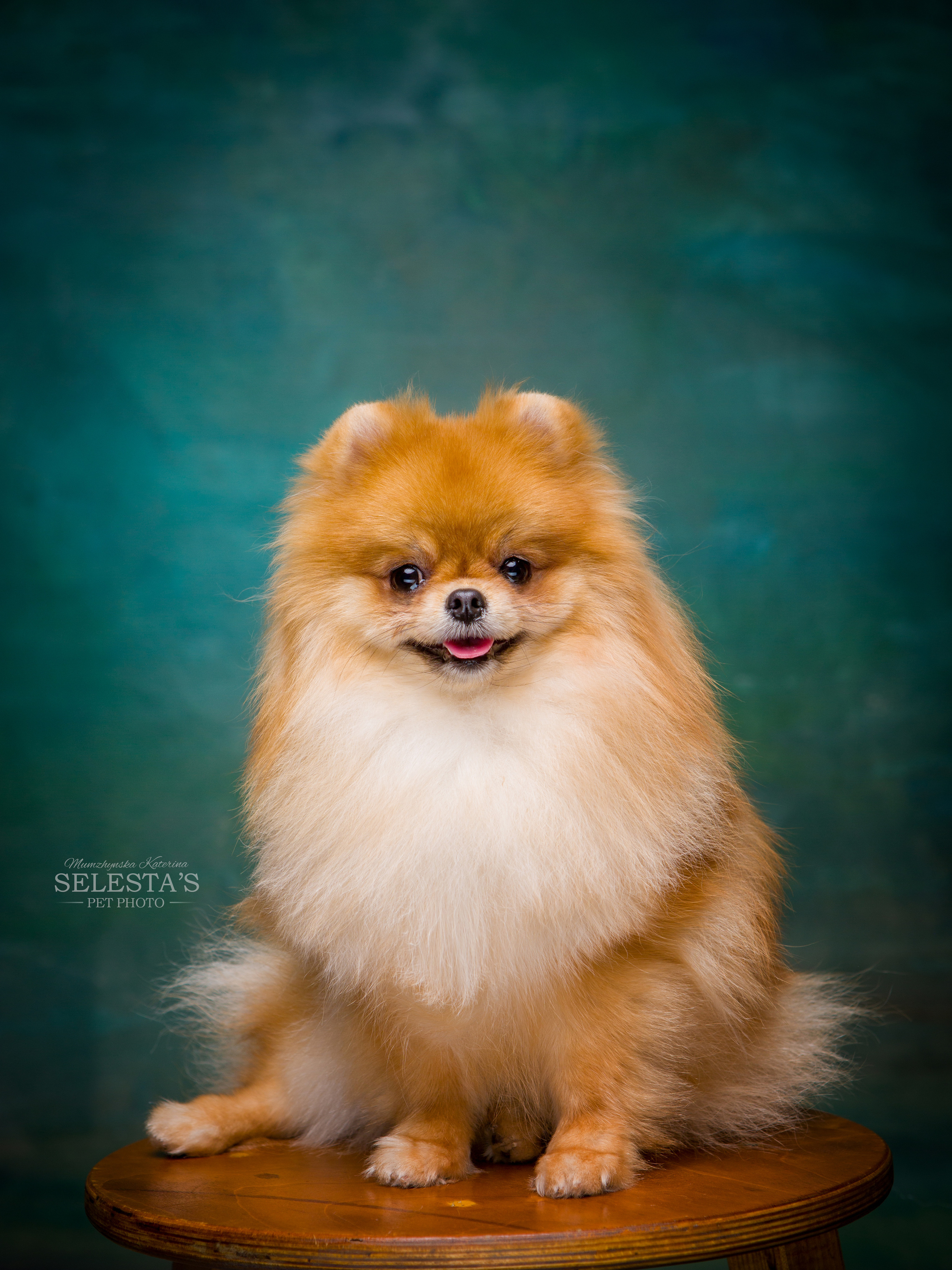 Студиія. Фотограф Катерина Мумжинська