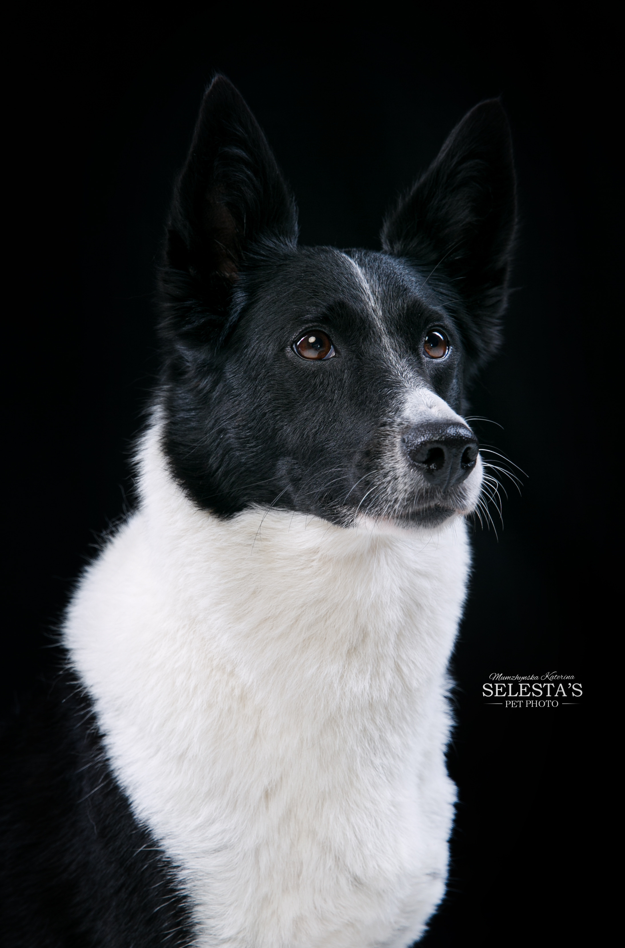 Студиія. Фотограф Катерина Мумжинська