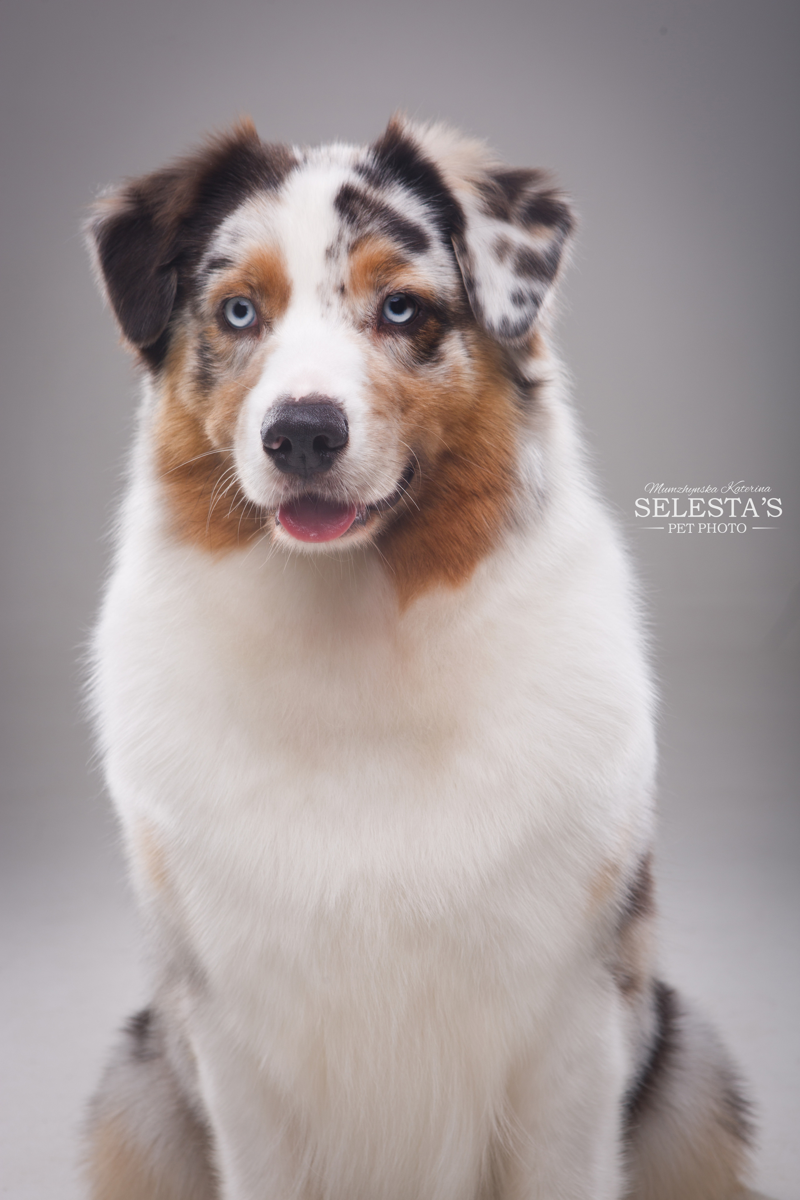 Студиія. Фотограф Катерина Мумжинська