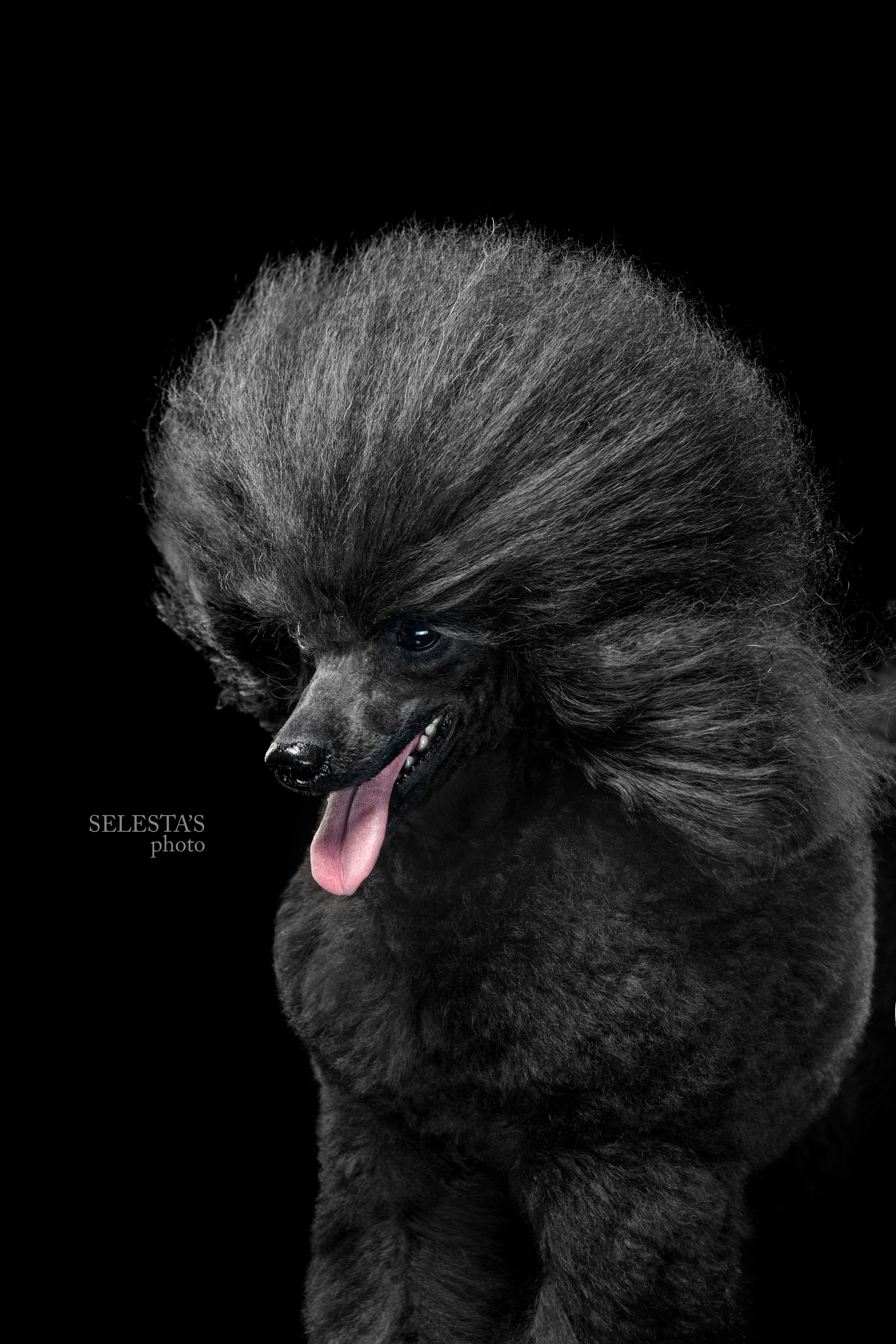 Студиія. Фотограф Катерина Мумжинська