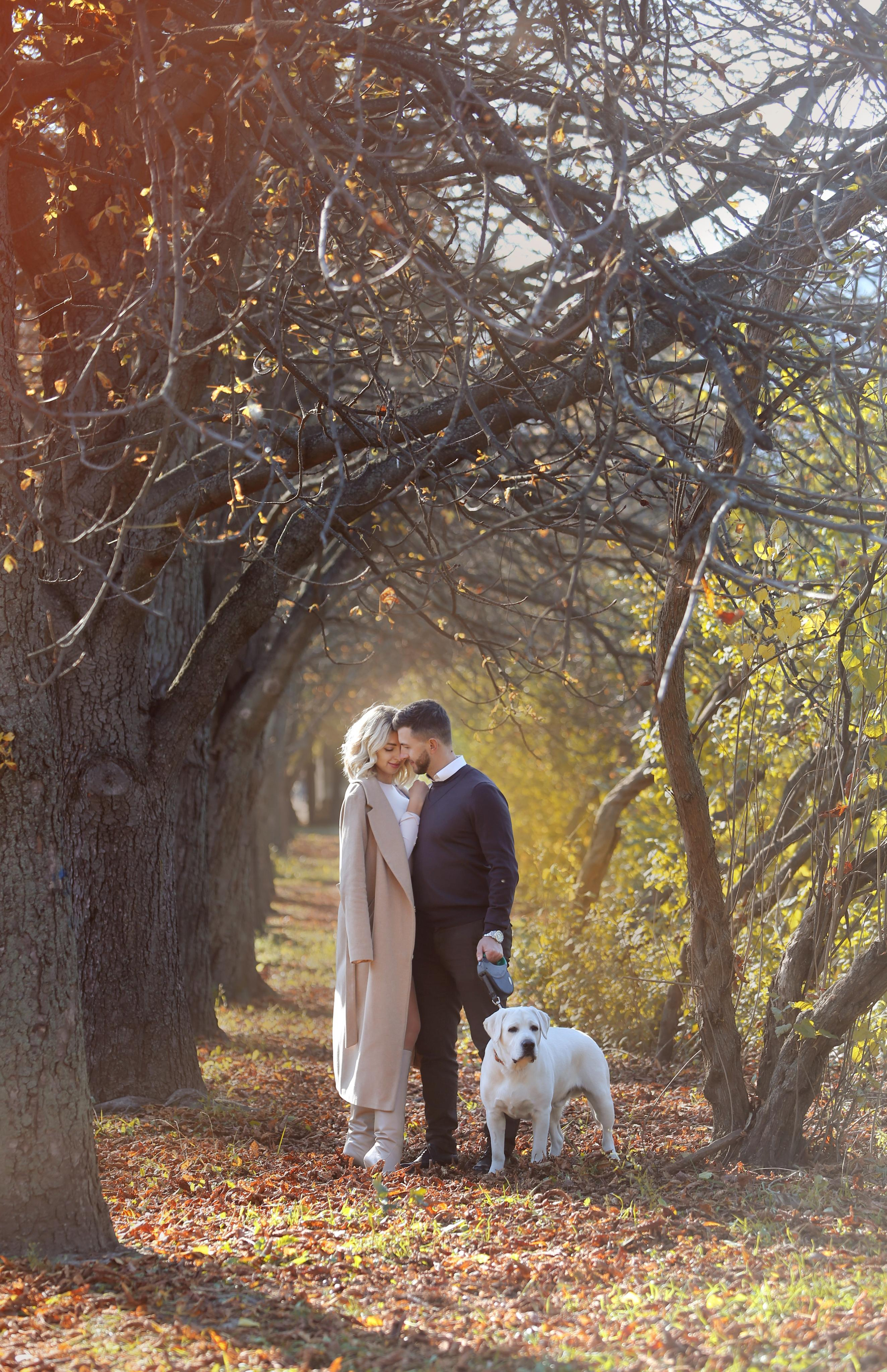 Love story. Pets and people photographer Kateryna Mumzhynska