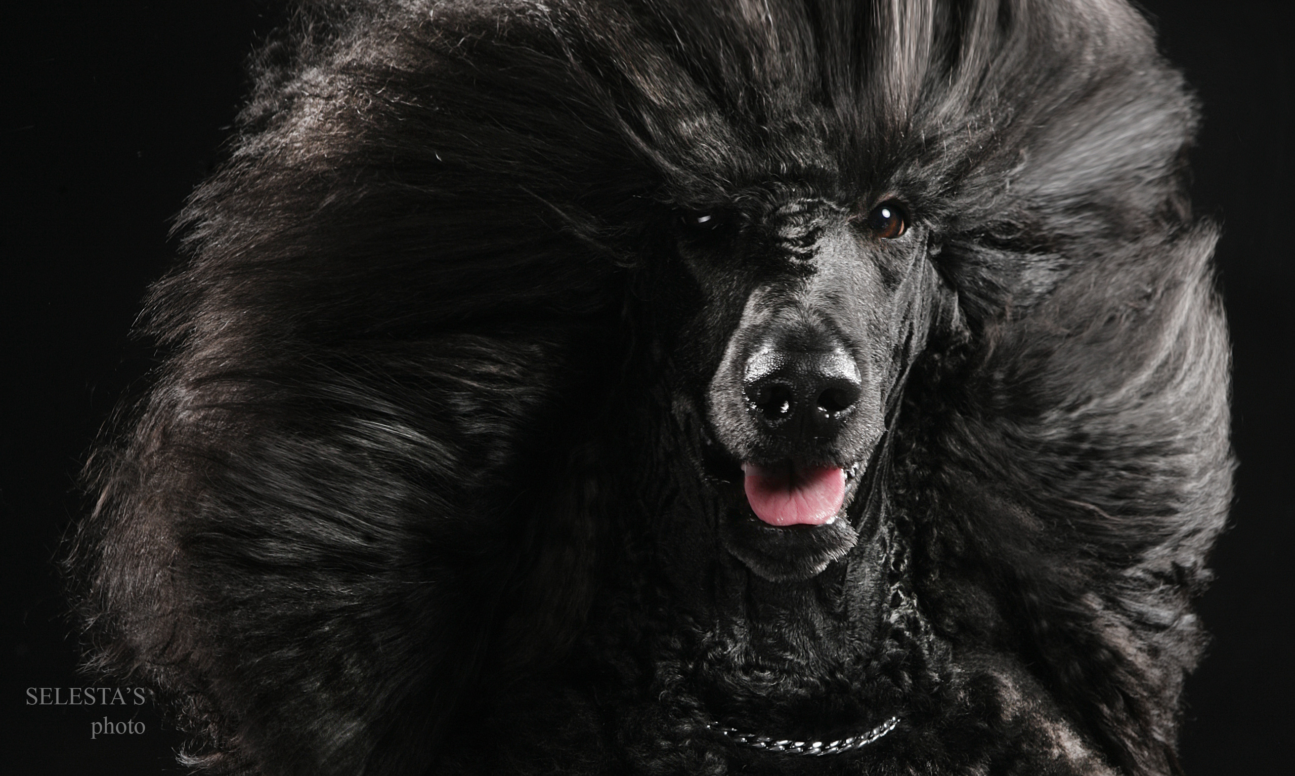 Студиія. Фотограф Катерина Мумжинська