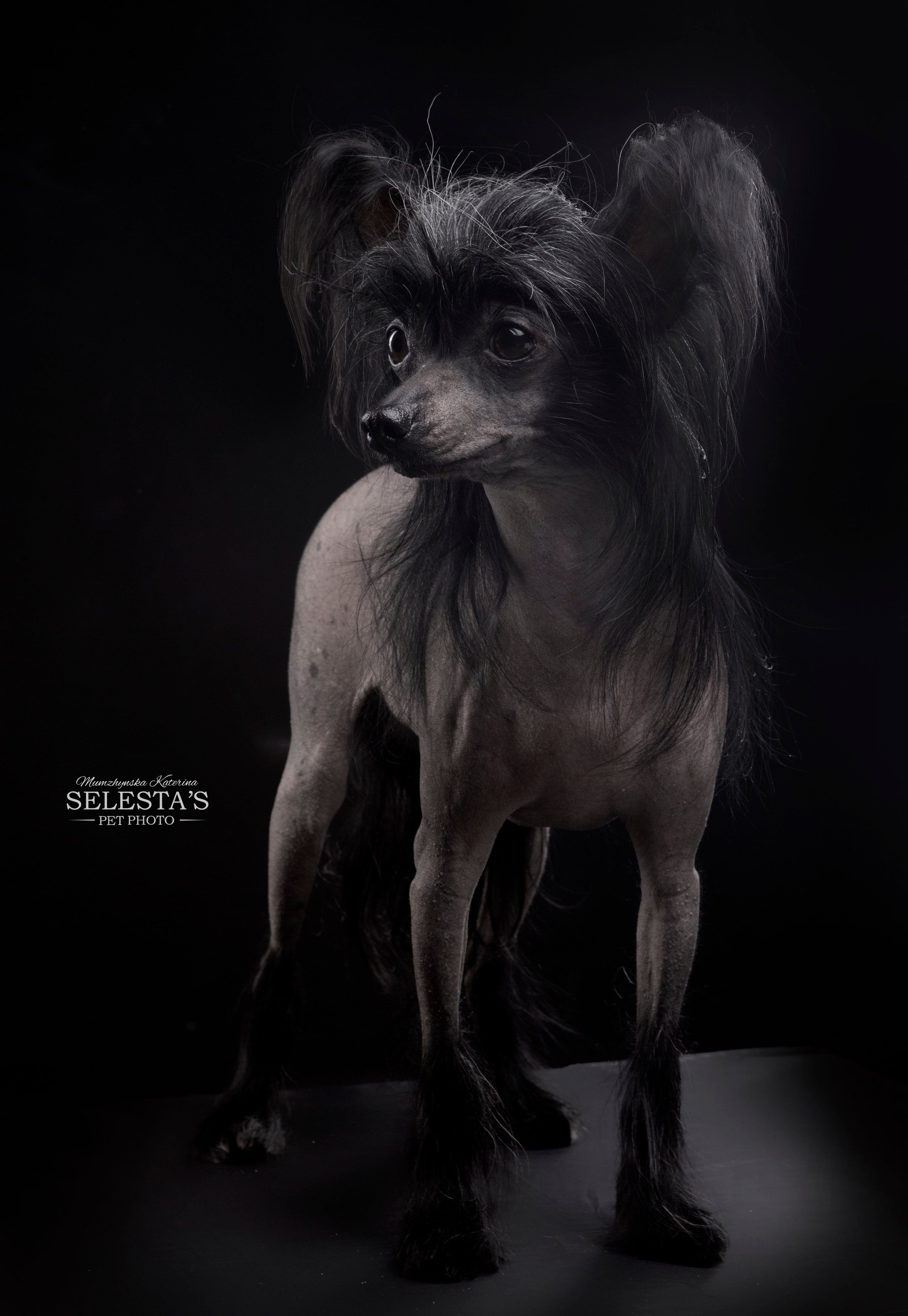 Студиія. Фотограф Катерина Мумжинська