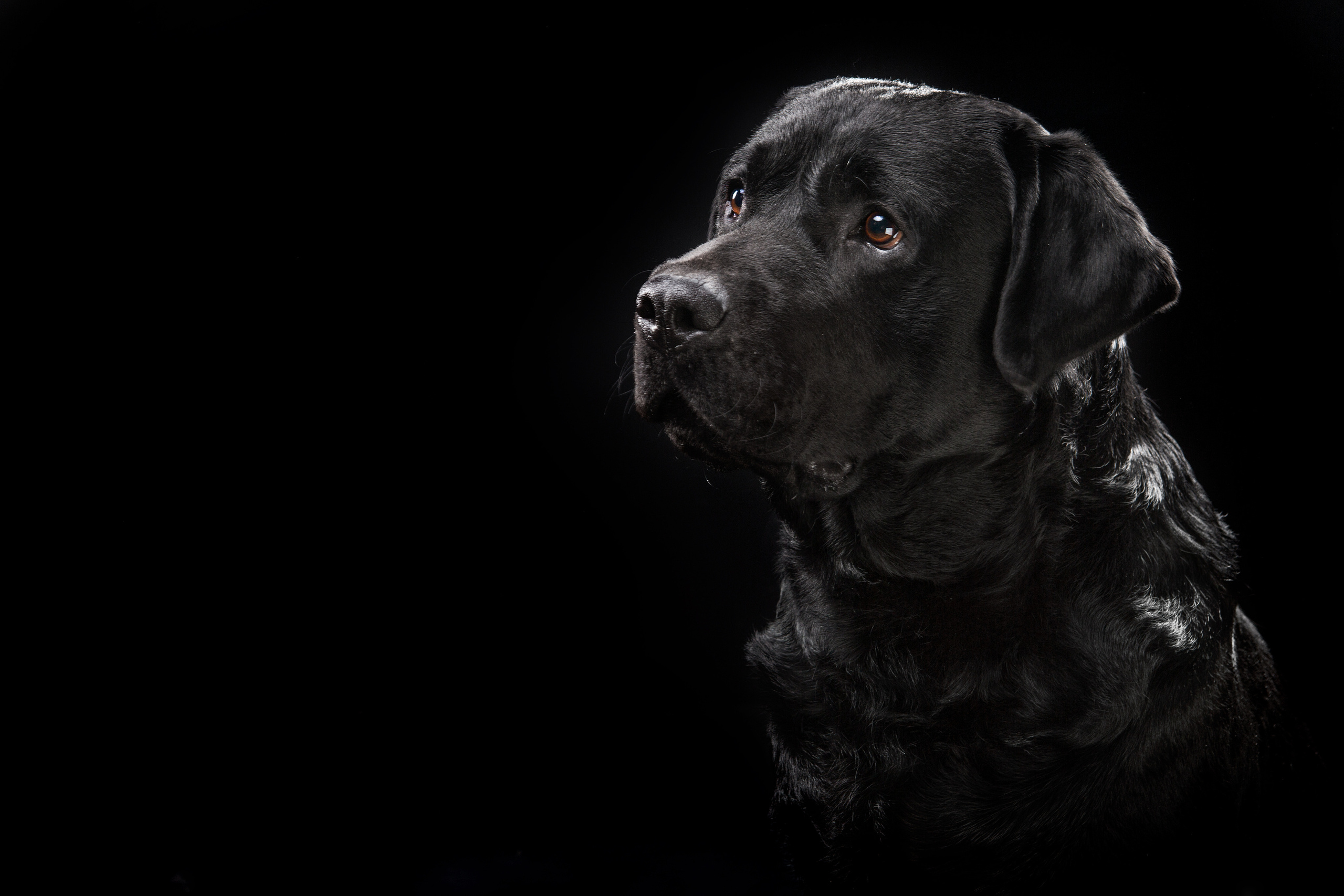 Студиія. Фотограф Катерина Мумжинська