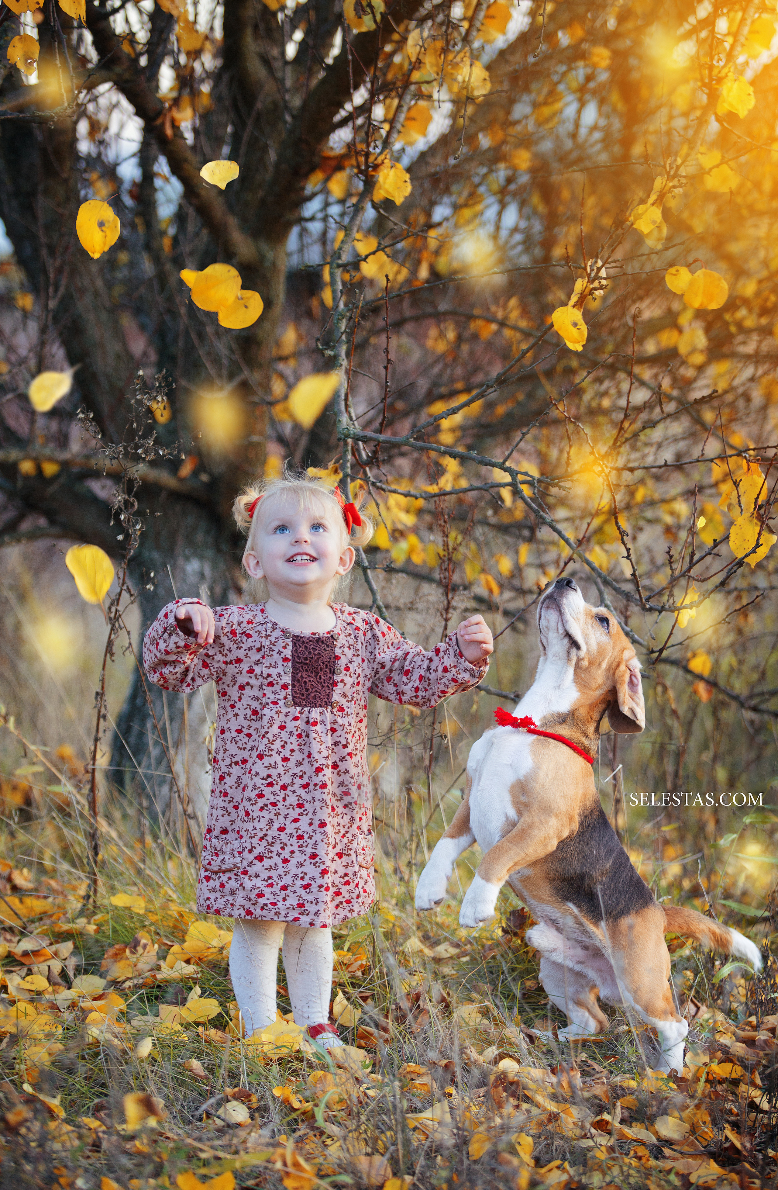 Kids. Pets and people photographer Kateryna Mumzhynska