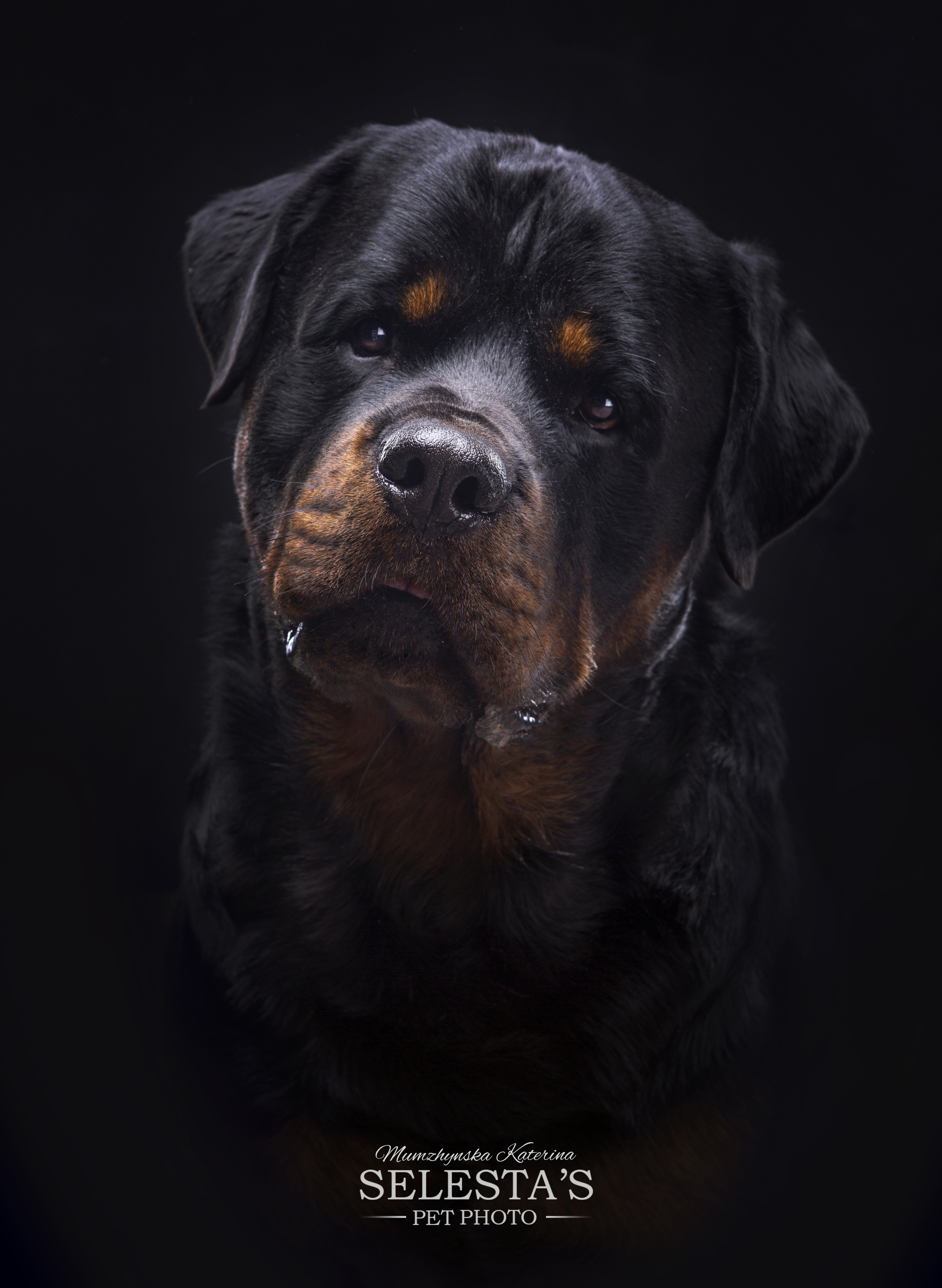 Студиія. Фотограф Катерина Мумжинська