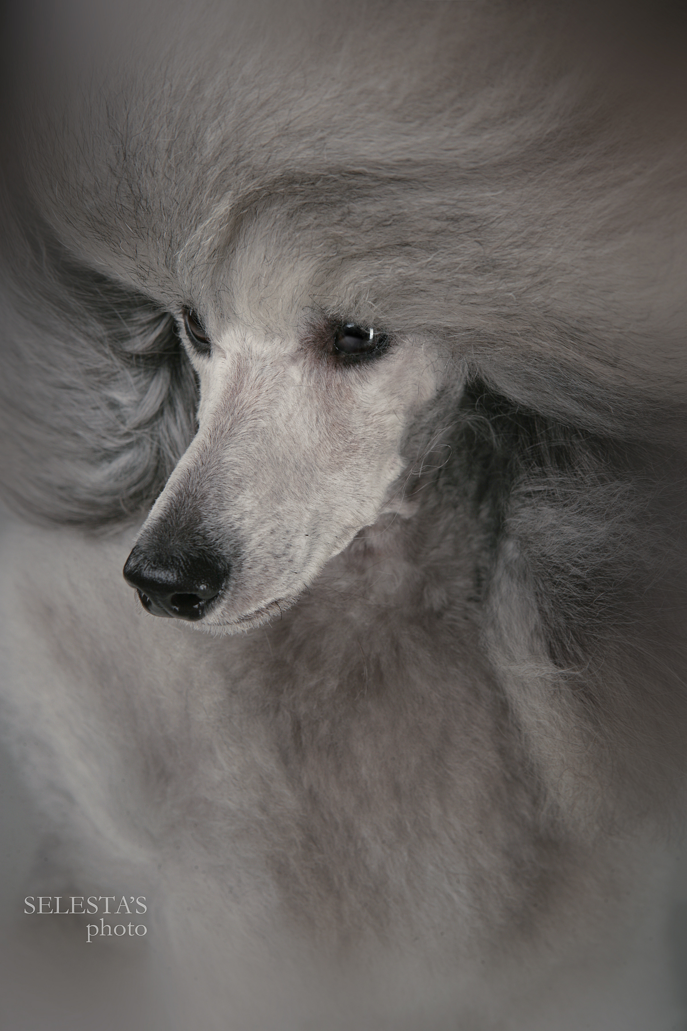 Студиія. Фотограф Катерина Мумжинська