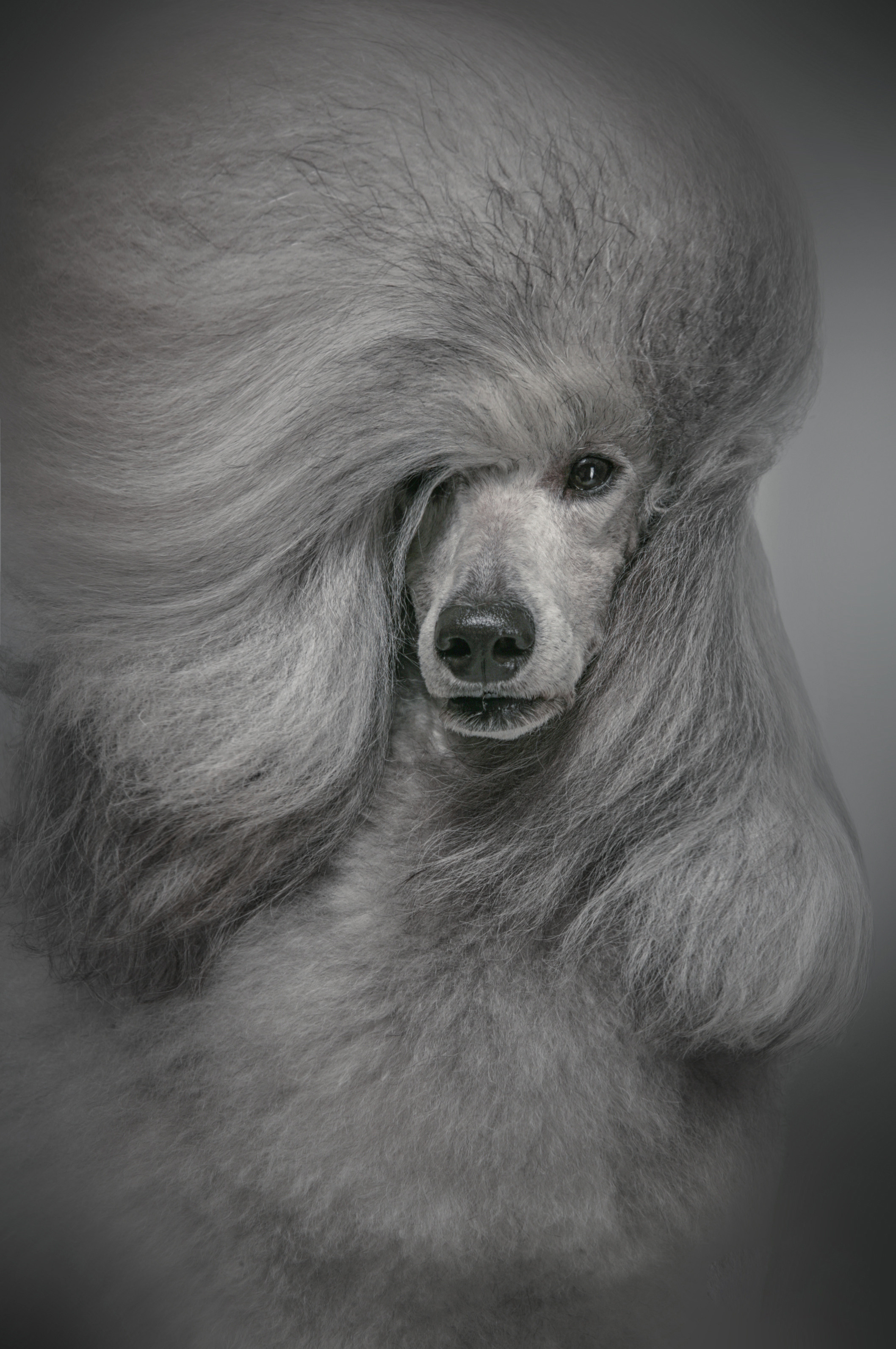 Студиія. Фотограф Катерина Мумжинська