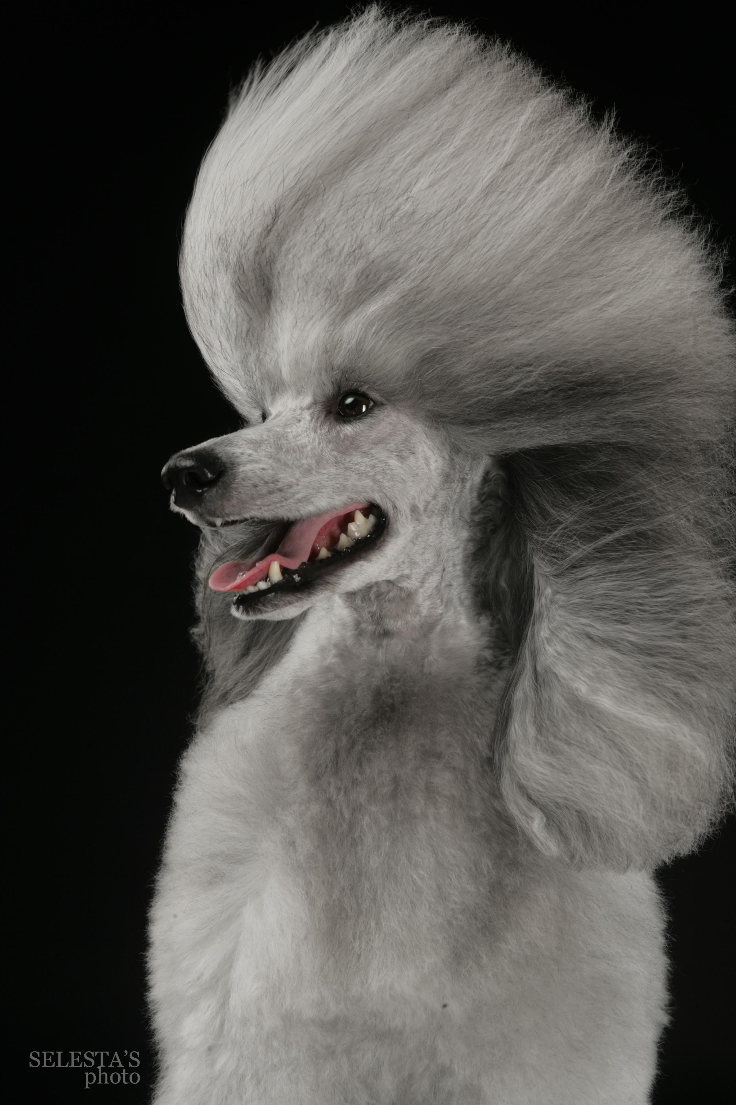 Студиія. Фотограф Катерина Мумжинська