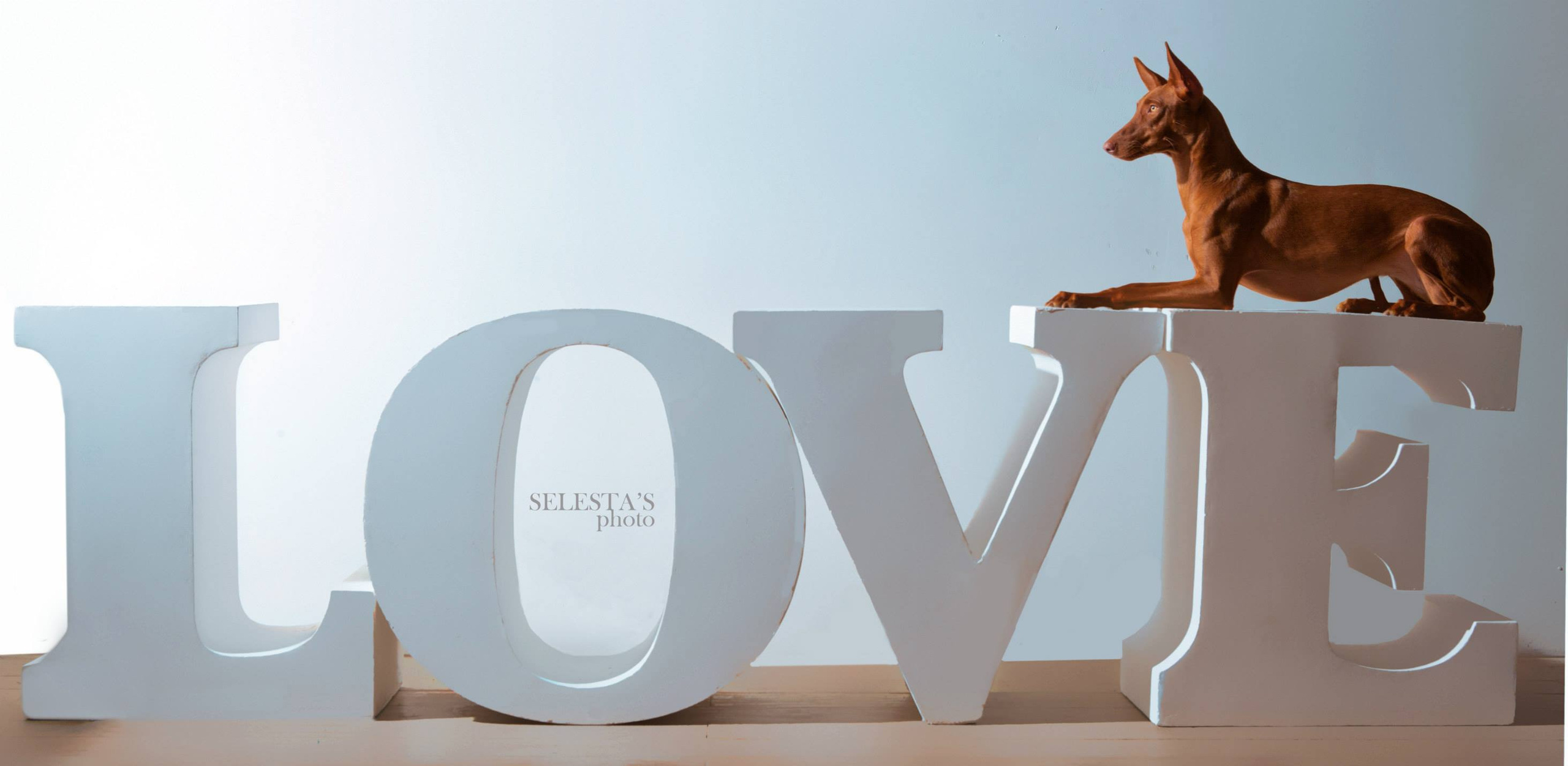 Студиія. Фотограф Катерина Мумжинська