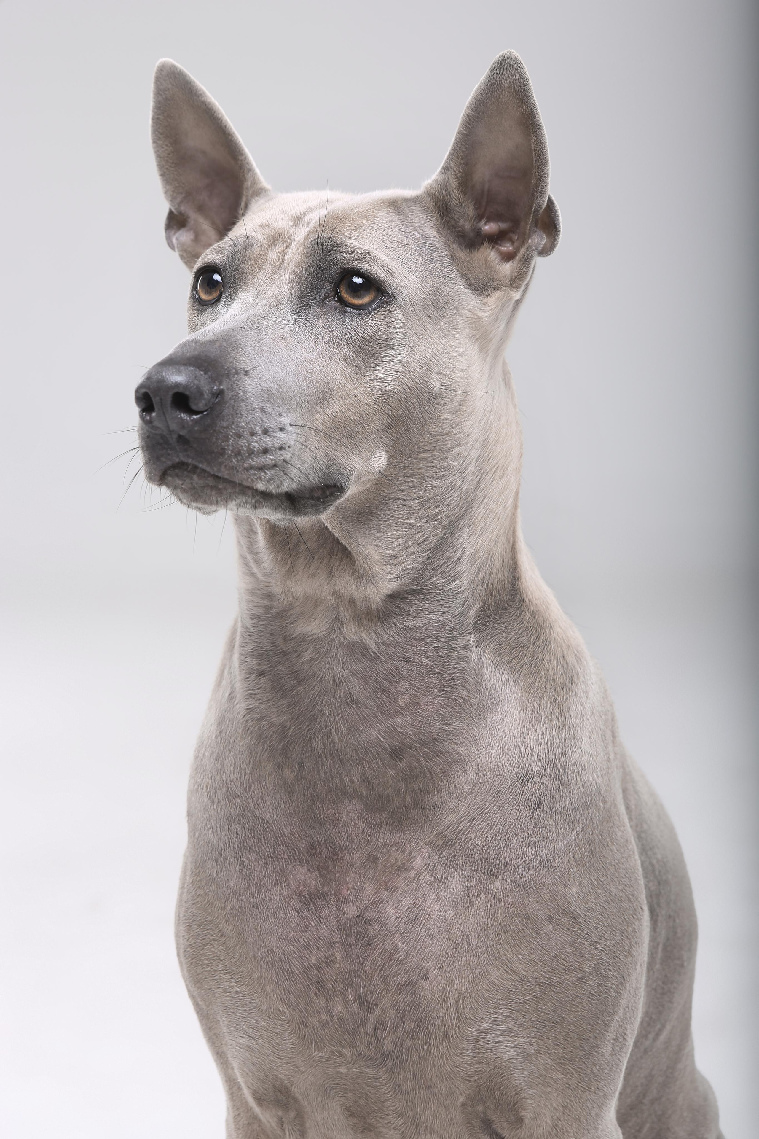 Студиія. Фотограф Катерина Мумжинська