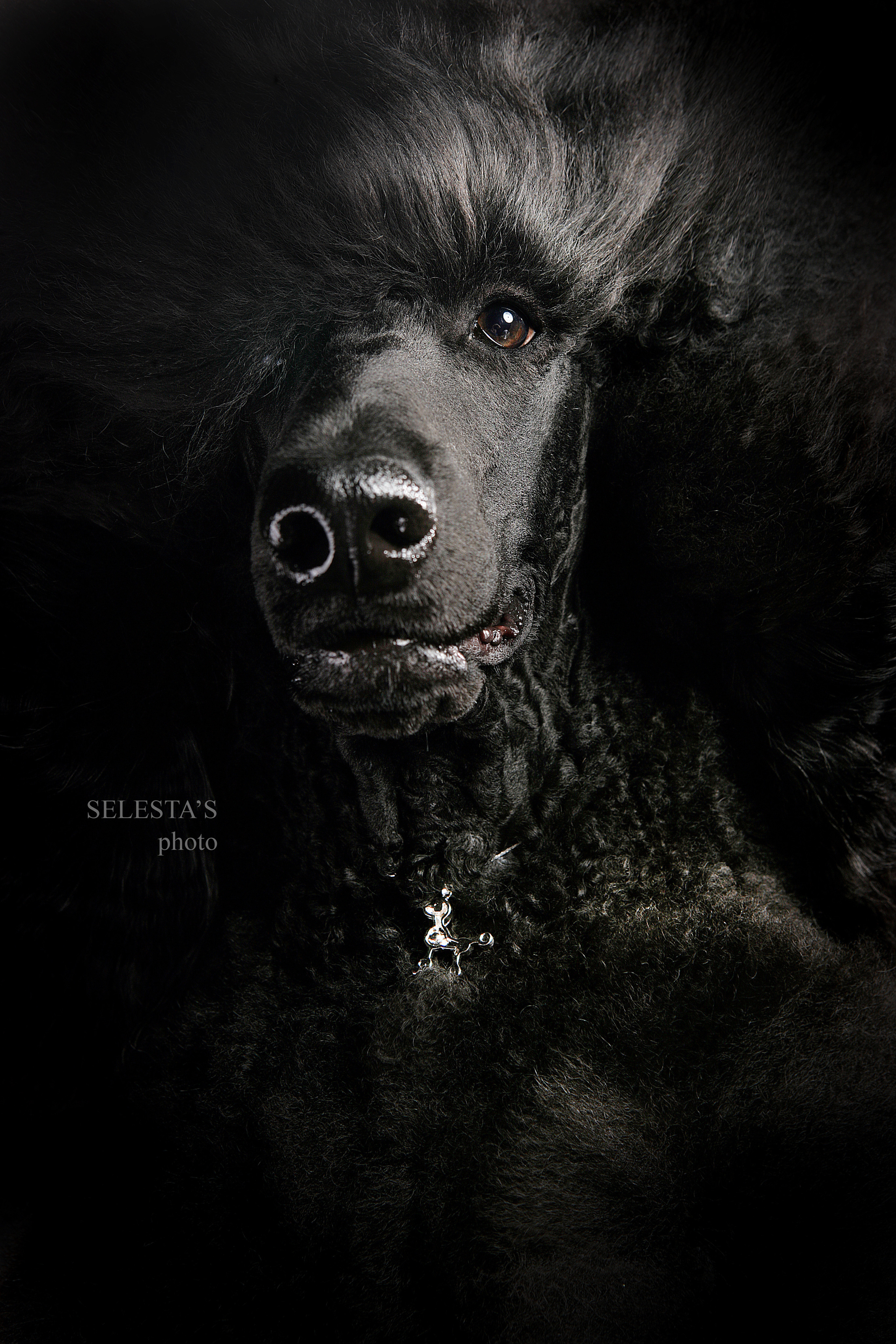 Студиія. Фотограф Катерина Мумжинська