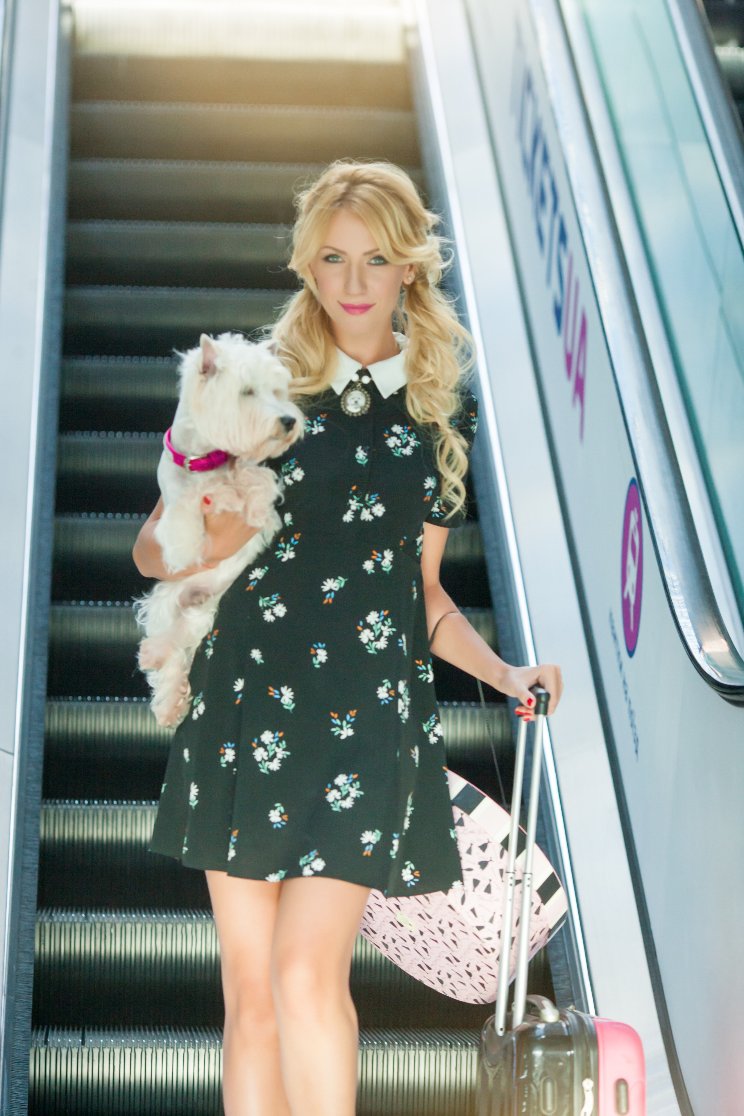 Pets and people. Pets and people photographer Kateryna Mumzhynska