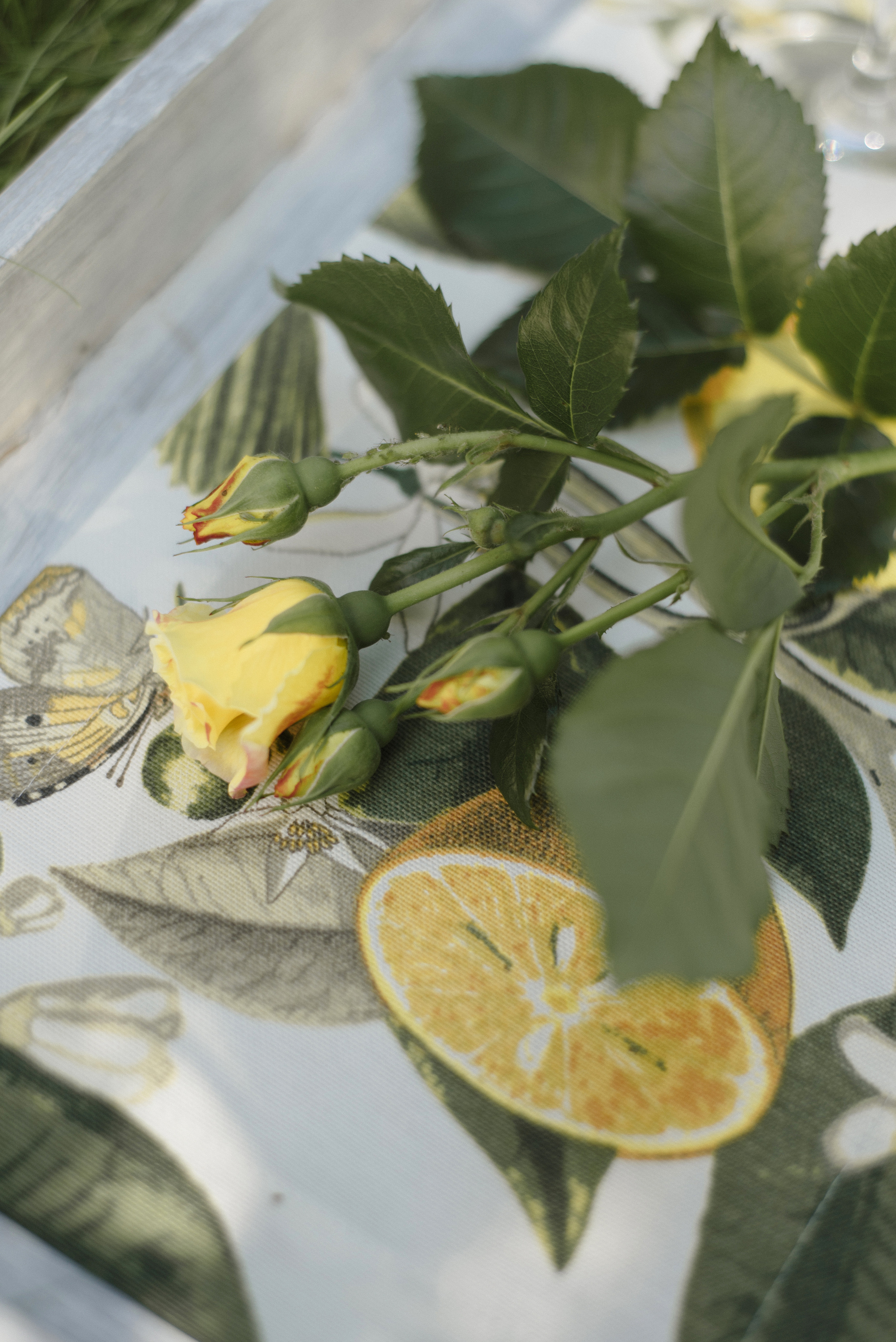 Montakira home. FOTOGRAF Ryzhykova Valentyna Kraków Polska