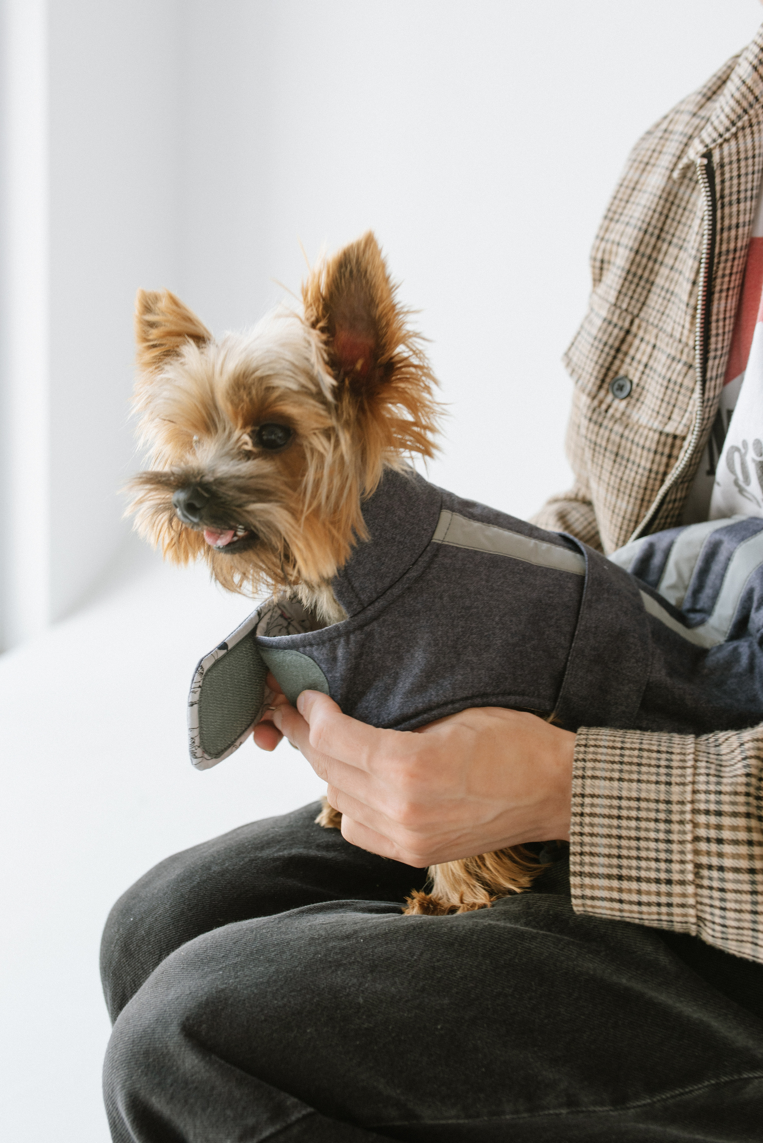 Petitemo.official. FOTOGRAF Ryzhykova Valentyna Kraków Polska