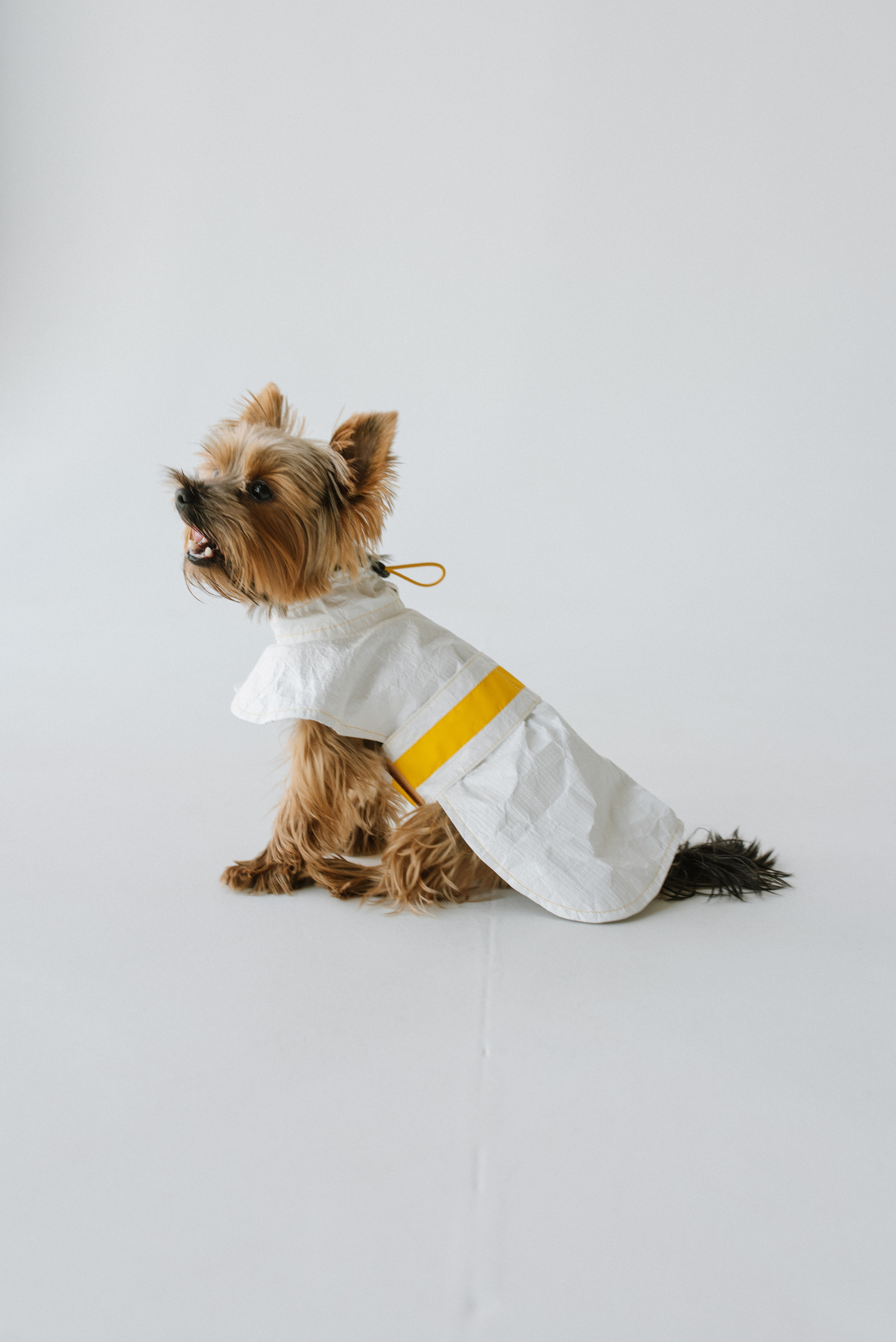 Petitemo.official. FOTOGRAF Ryzhykova Valentyna Kraków Polska