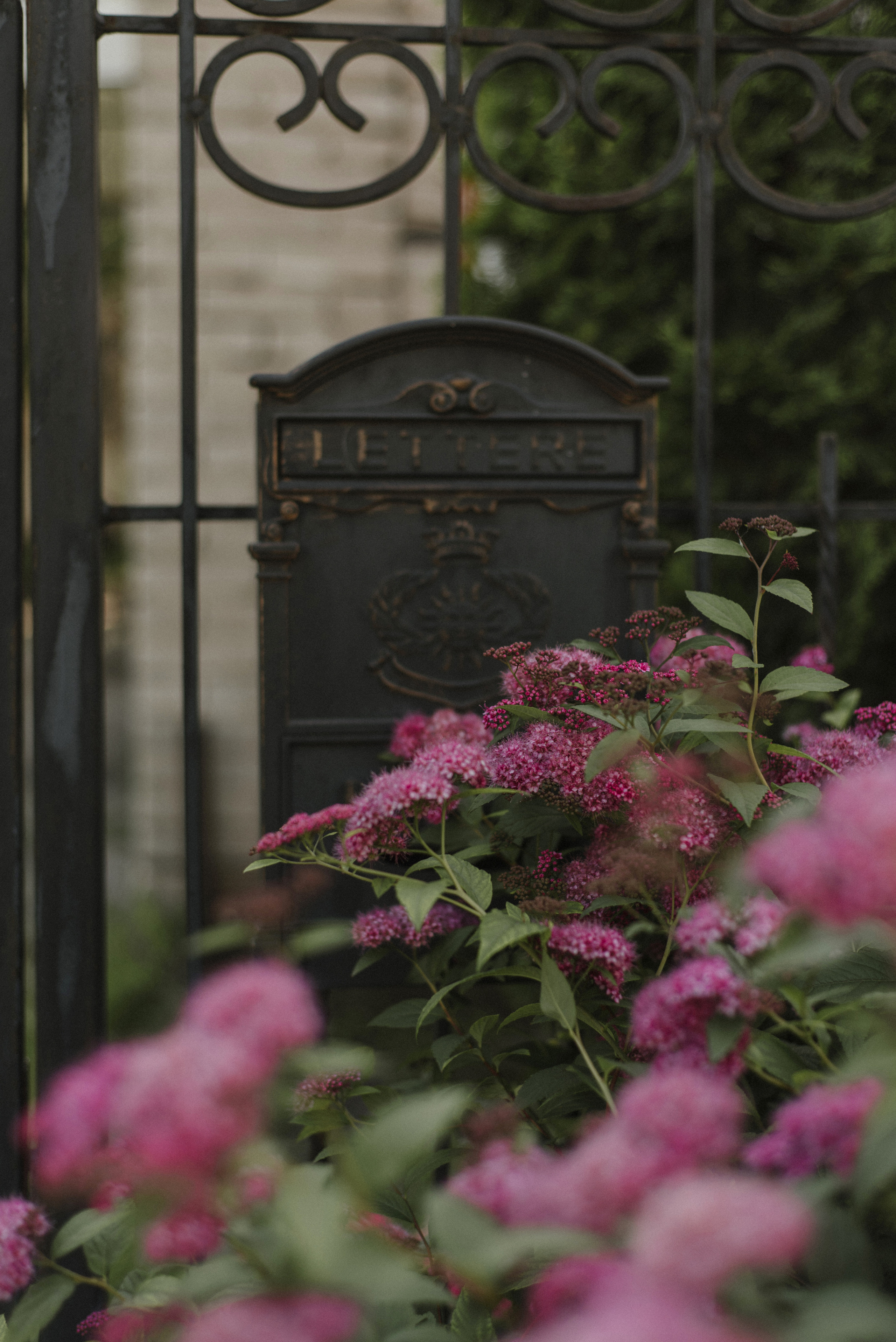 Montakira home. FOTOGRAF Ryzhykova Valentyna Kraków Polska