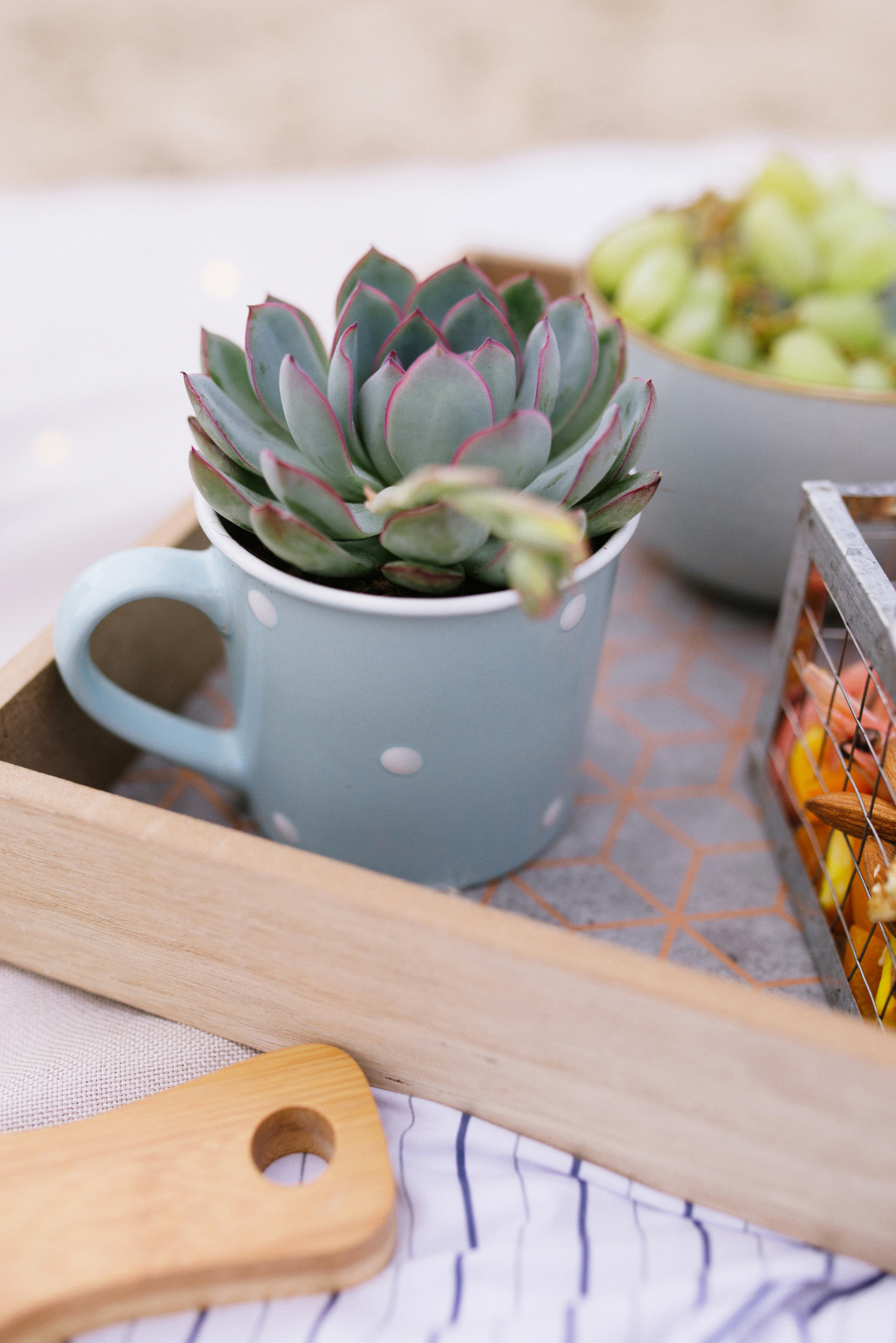 Hen-party. FOTOGRAF Ryzhykova Valentyna Kraków Polska