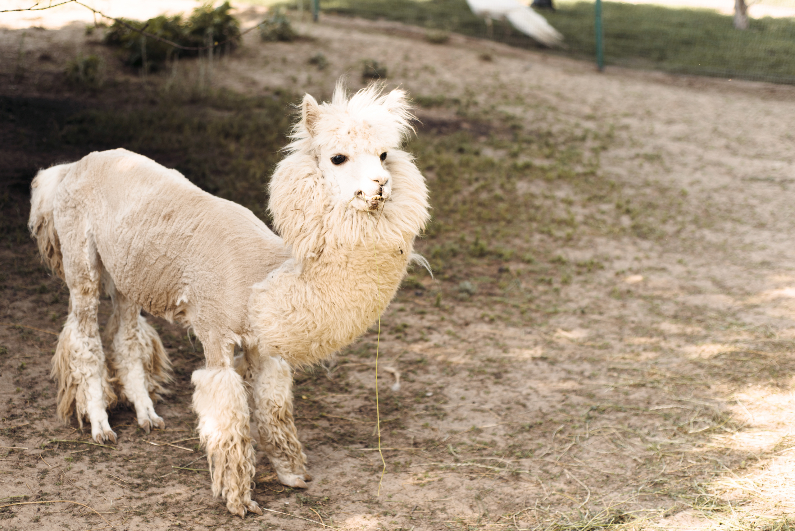 Fаshion story для украинского журнала JOY. FOTOGRAF Ryzhykova Valentyna Kraków Polska
