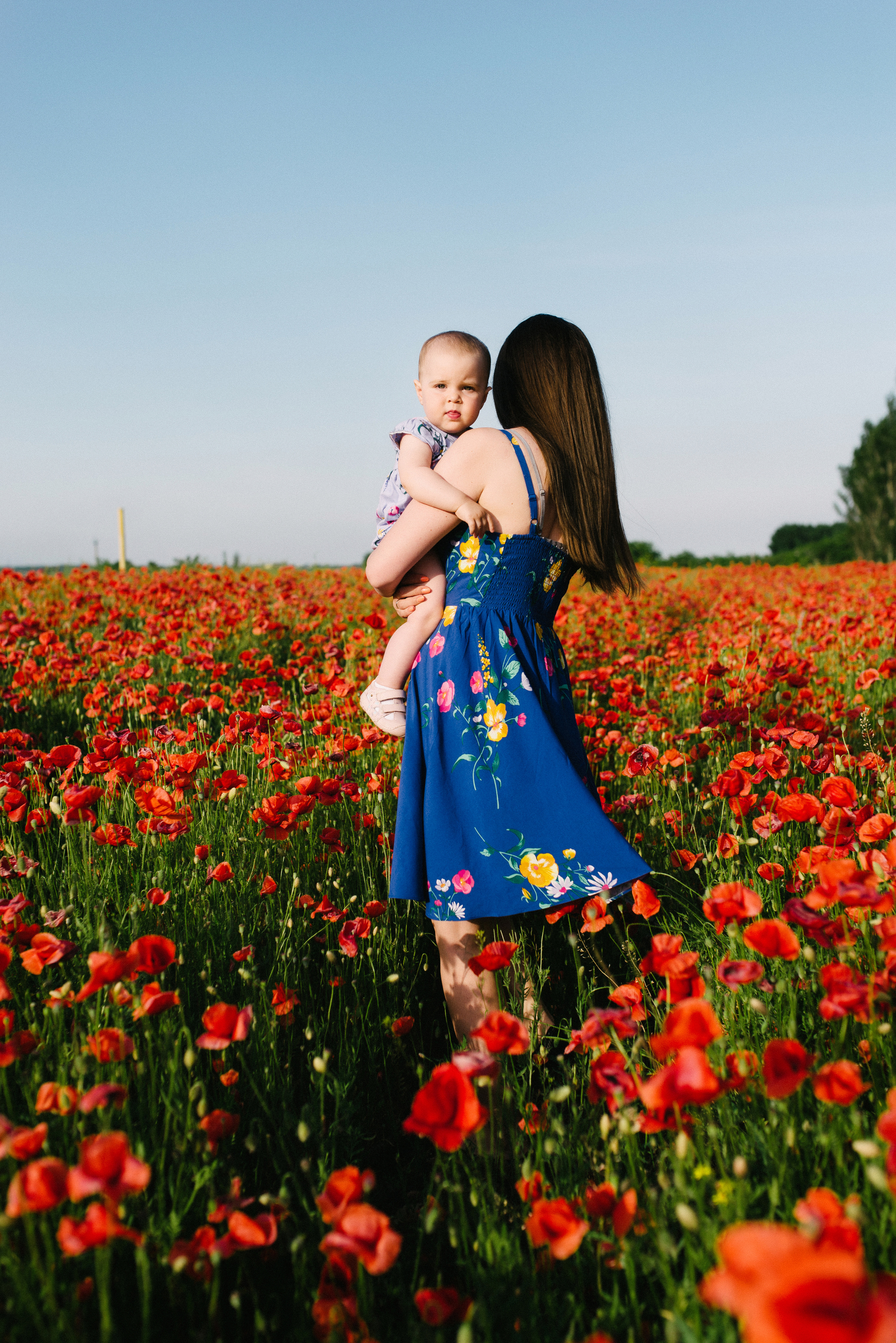 Poppy story. FOTOGRAF Ryzhykova Valentyna Kraków Polska
