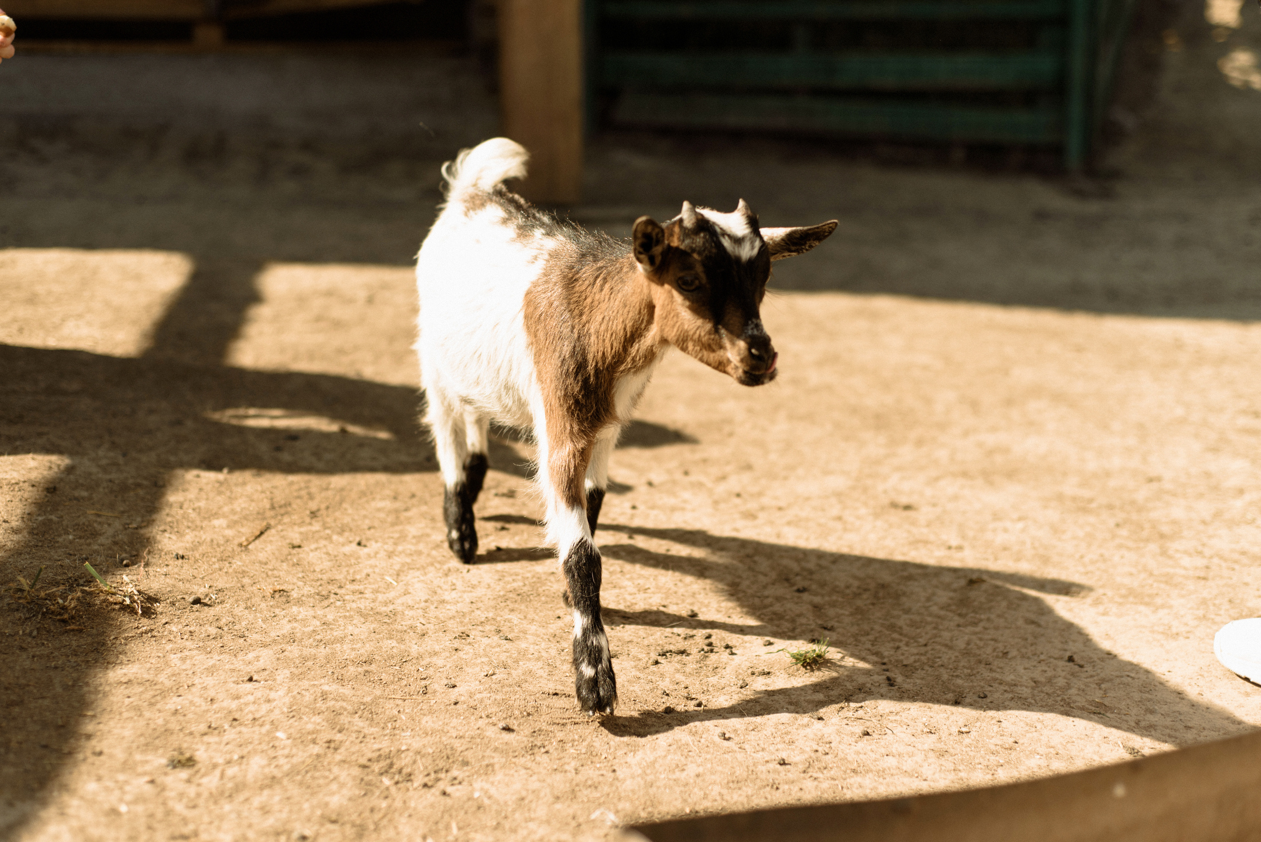 Fаshion story для украинского журнала JOY. FOTOGRAF Ryzhykova Valentyna Kraków Polska