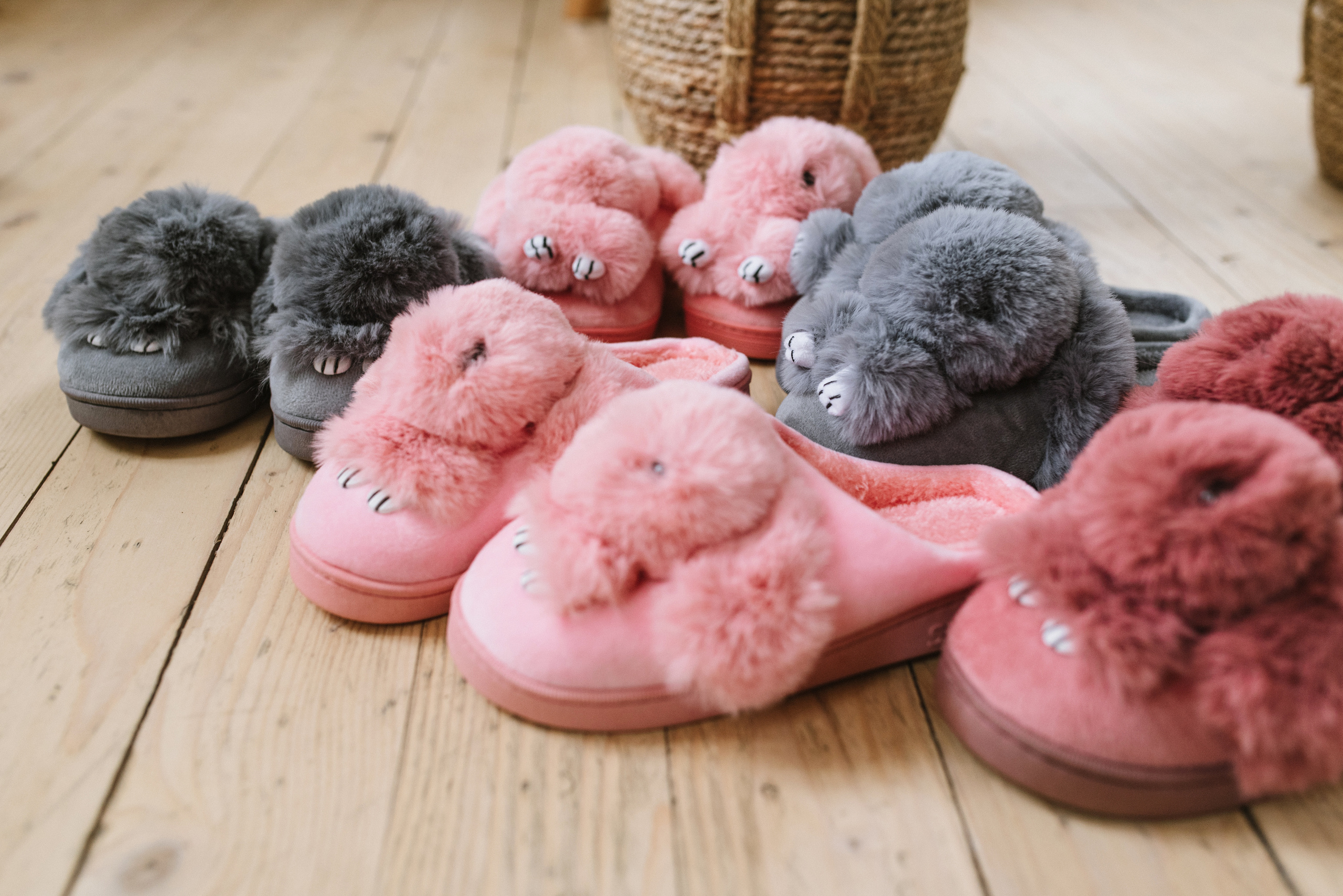 Slippers. FOTOGRAF Ryzhykova Valentyna Kraków Polska