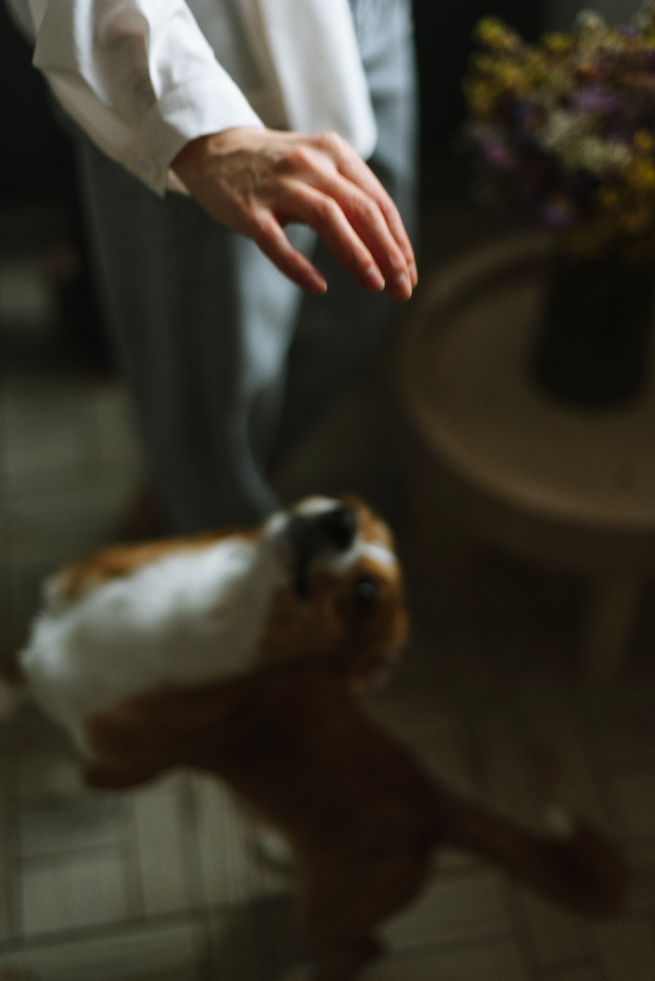 Marina & Misha. FOTOGRAF Ryzhykova Valentyna Kraków Polska