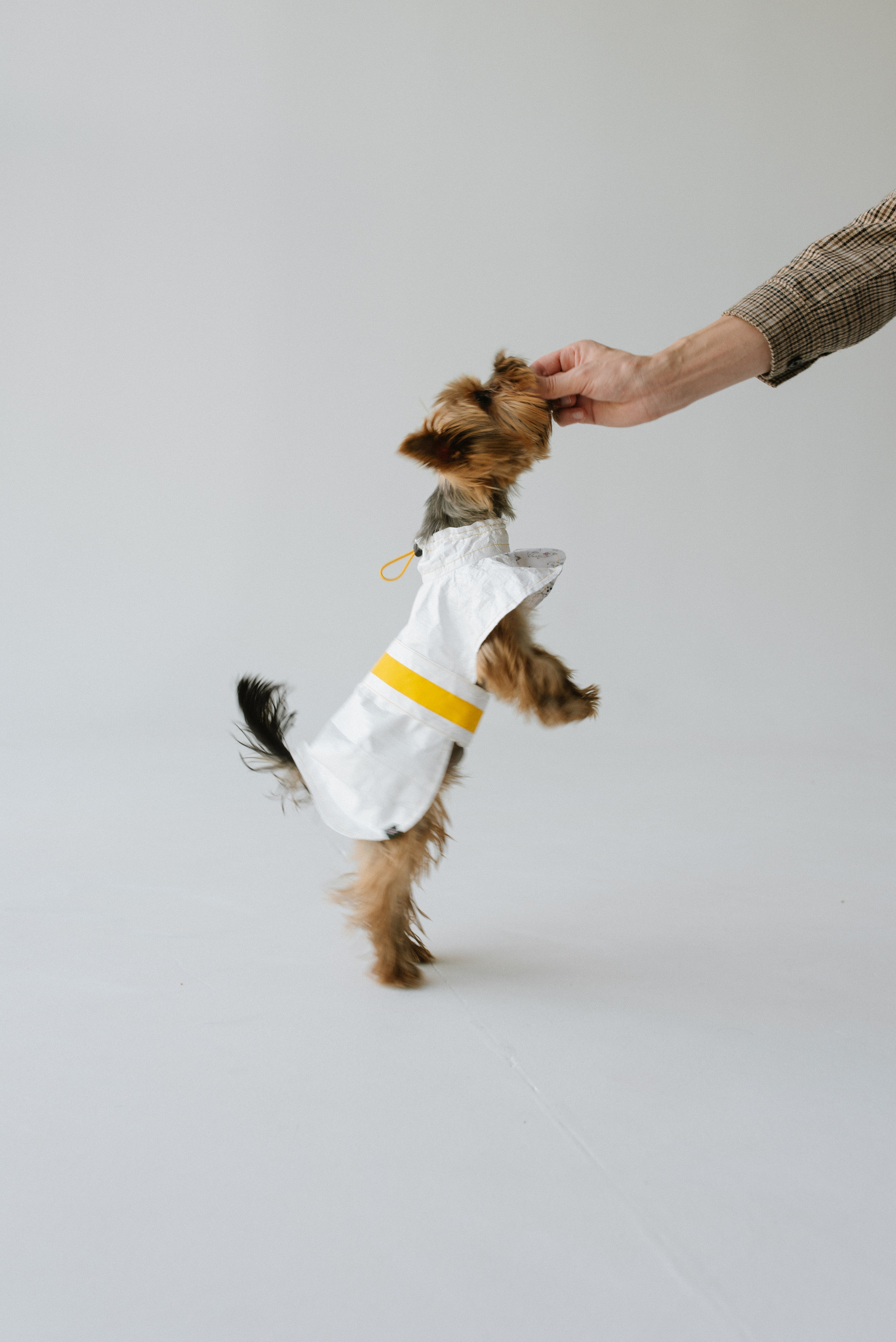 Petitemo.official. FOTOGRAF Ryzhykova Valentyna Kraków Polska