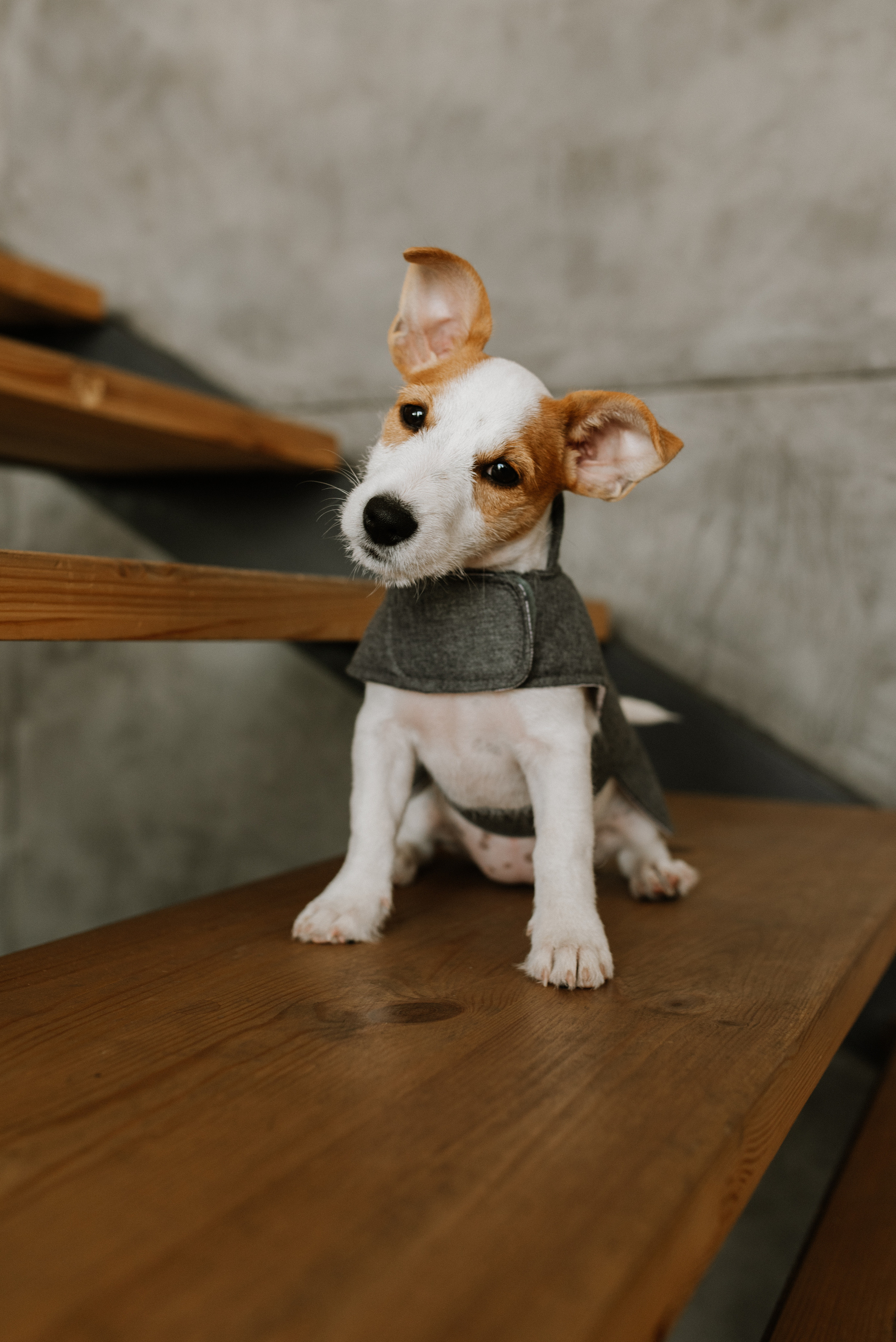 Petitemo.official. FOTOGRAF Ryzhykova Valentyna Kraków Polska