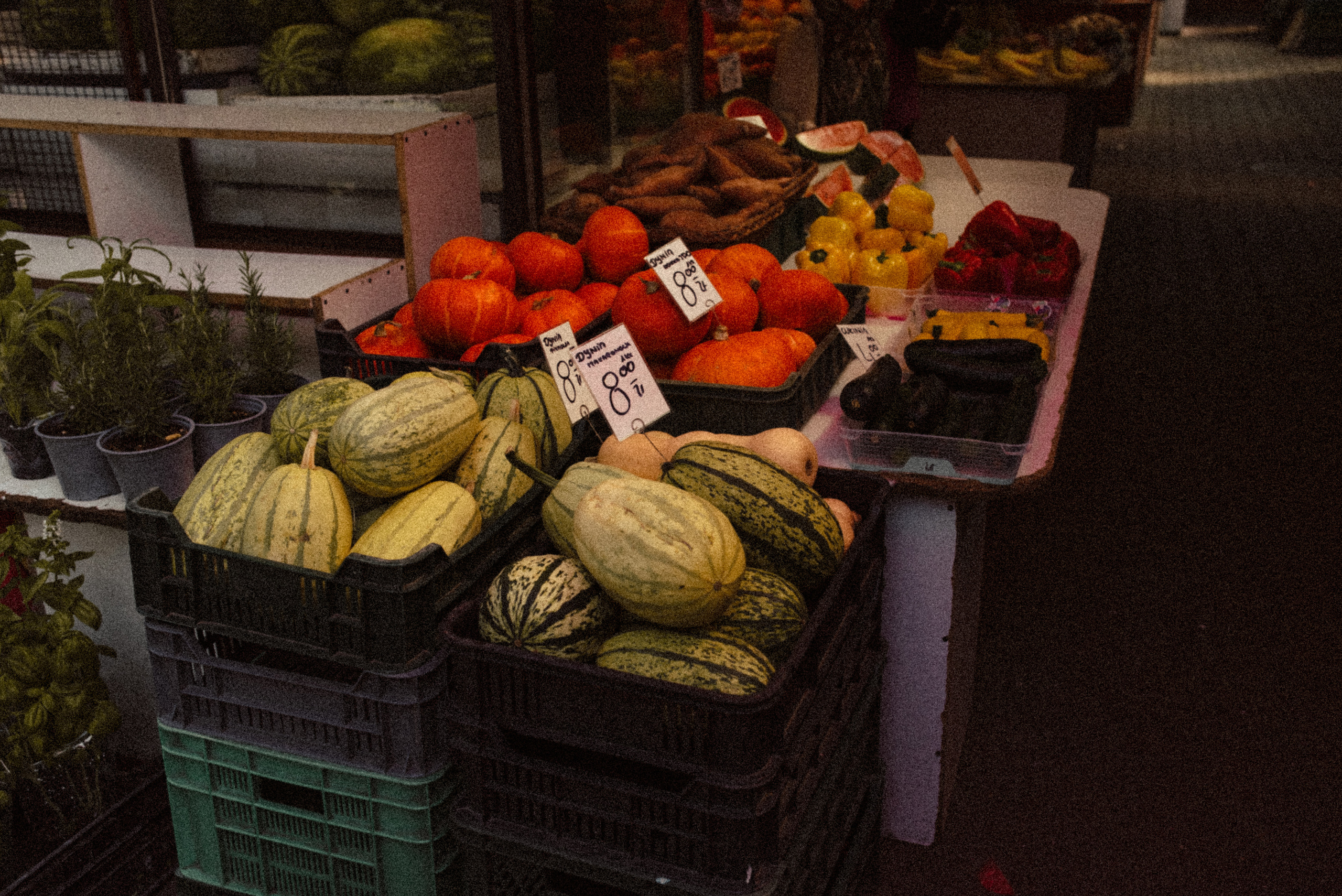 OLD MARKET KRAKÓW. FOTOGRAF Ryzhykova Valentyna Kraków Polska
