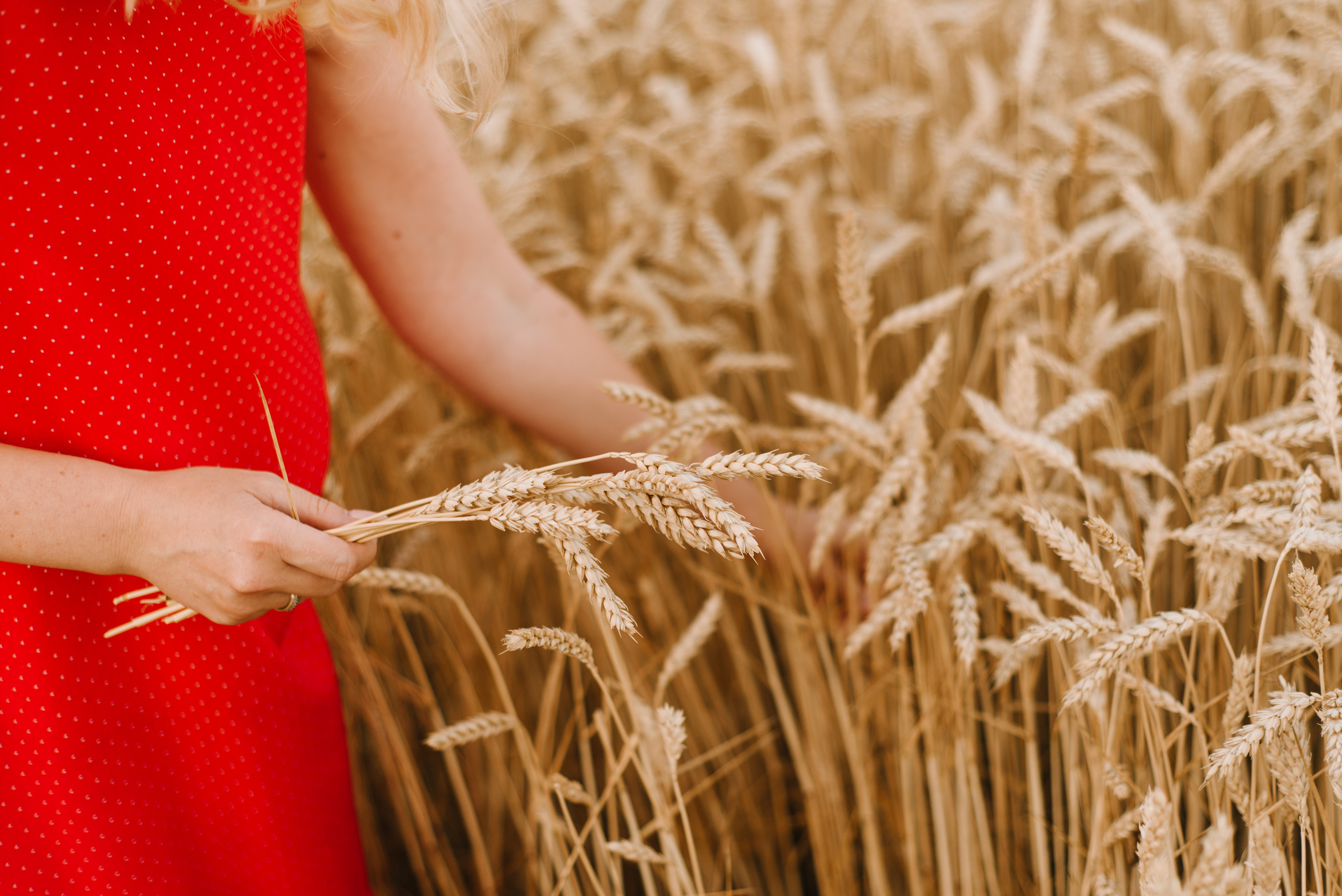 Семейная фотосессия в пшенице. FOTOGRAF Ryzhykova Valentyna Kraków Polska