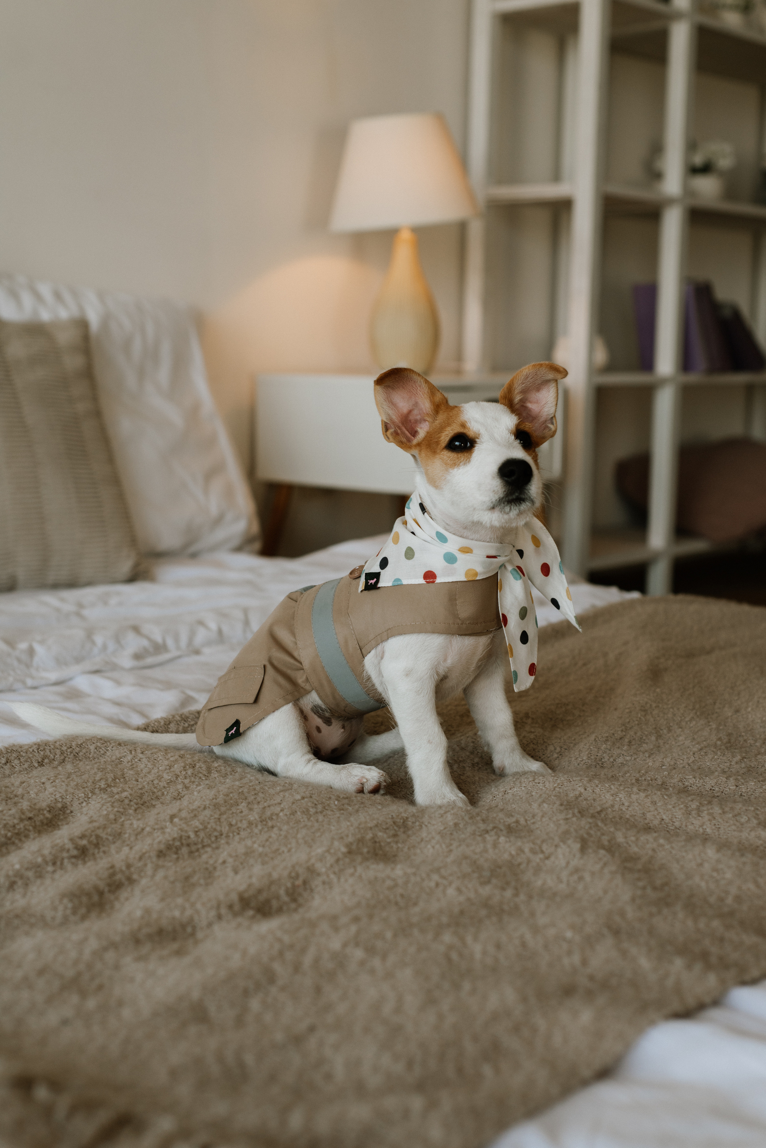 Petitemo.official. FOTOGRAF Ryzhykova Valentyna Kraków Polska