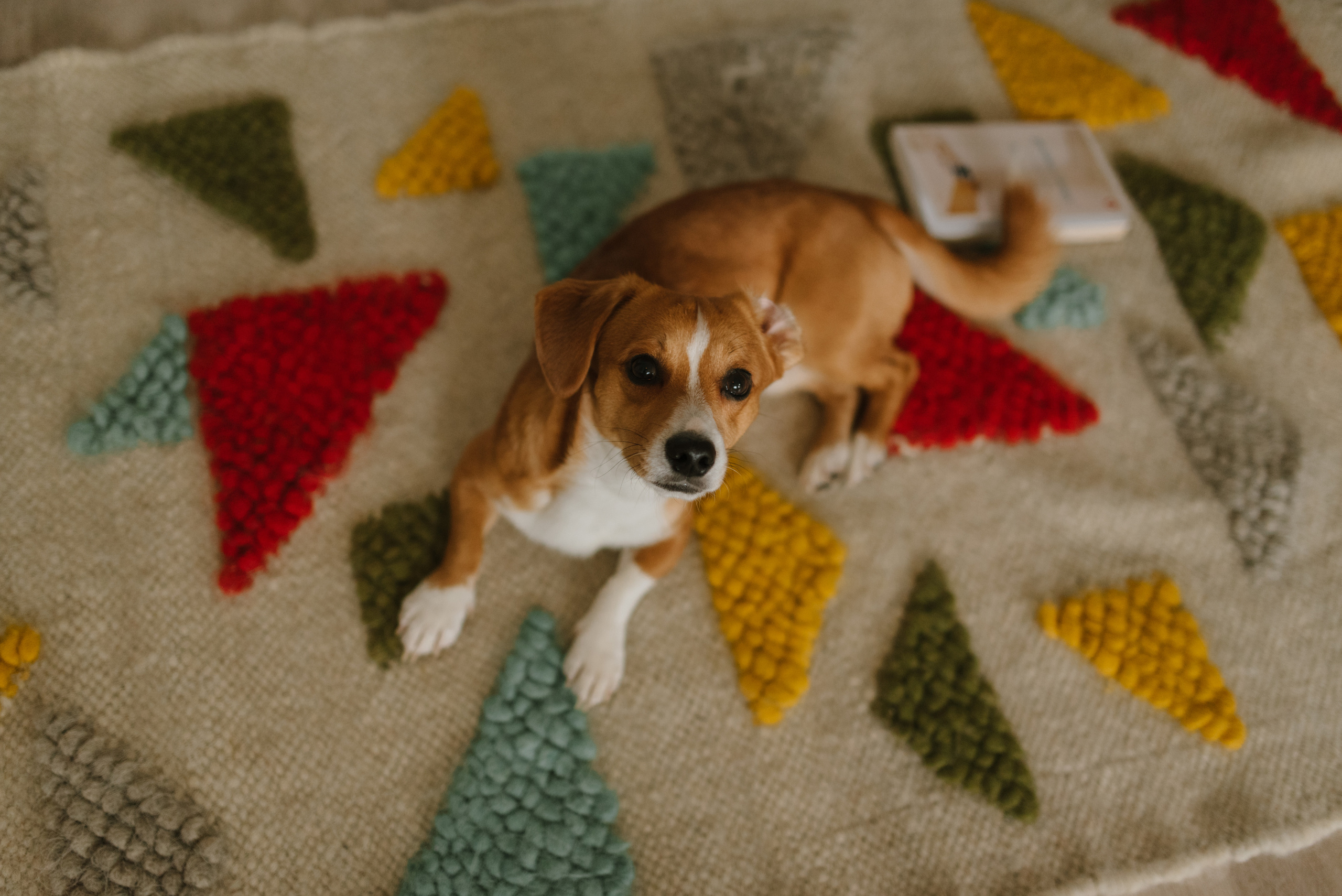 Marina & Misha. FOTOGRAF Ryzhykova Valentyna Kraków Polska