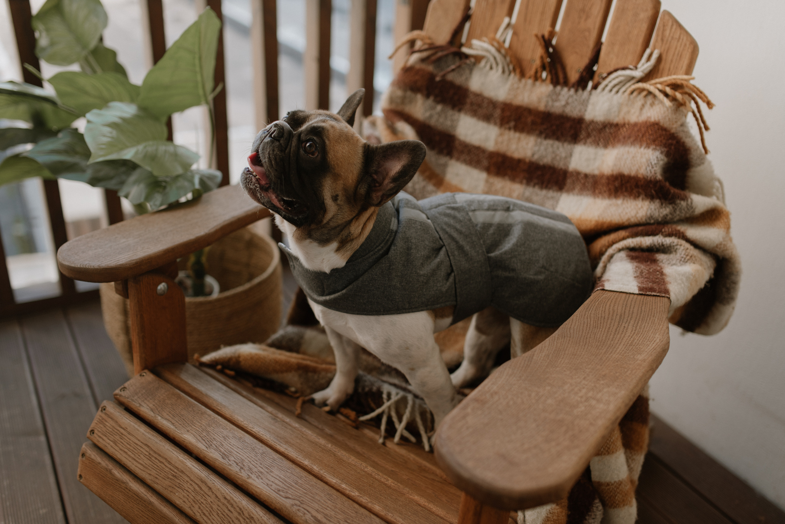 Petitemo.official. FOTOGRAF Ryzhykova Valentyna Kraków Polska