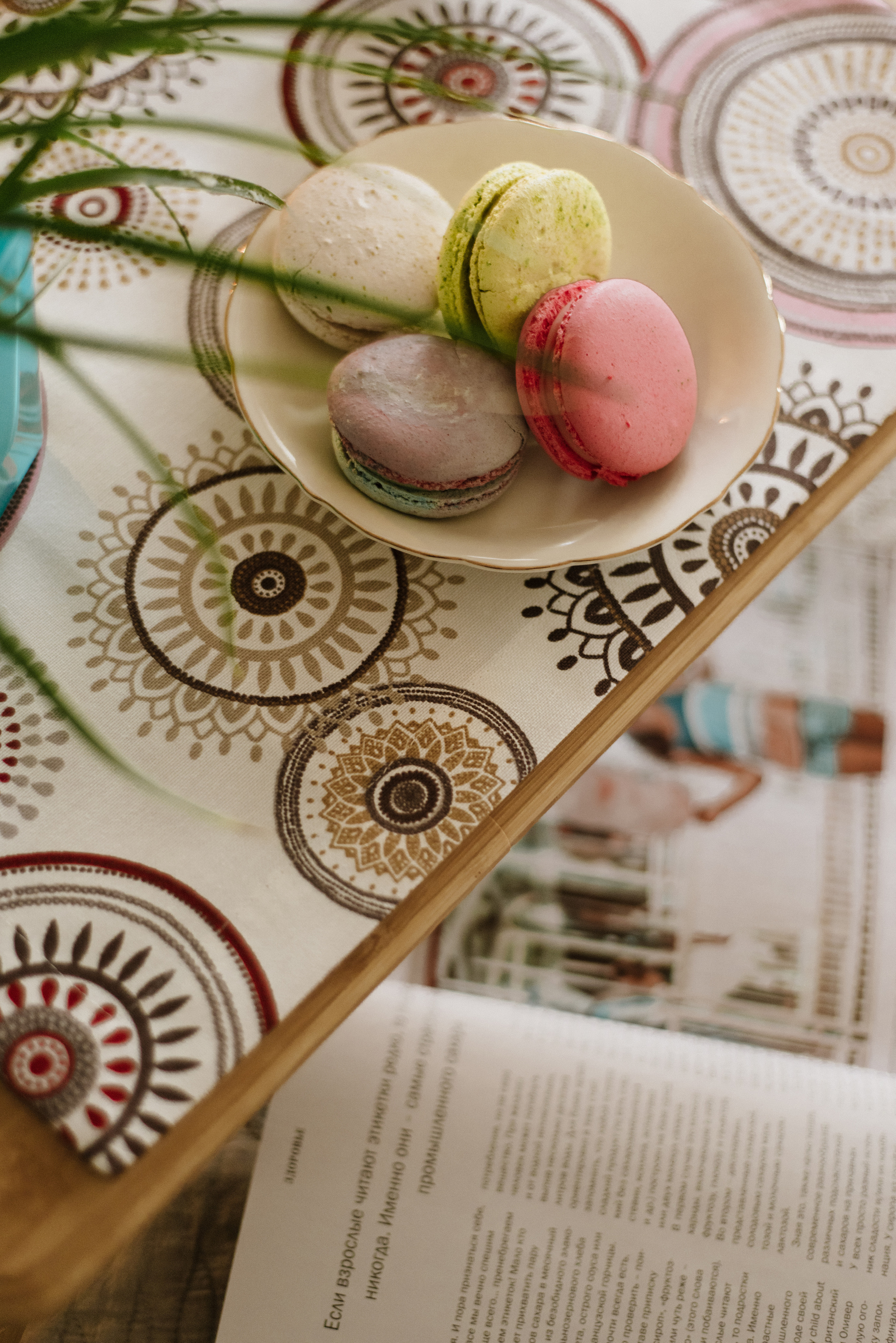 MONTAKIRA HOME. FOTOGRAF Ryzhykova Valentyna Kraków Polska