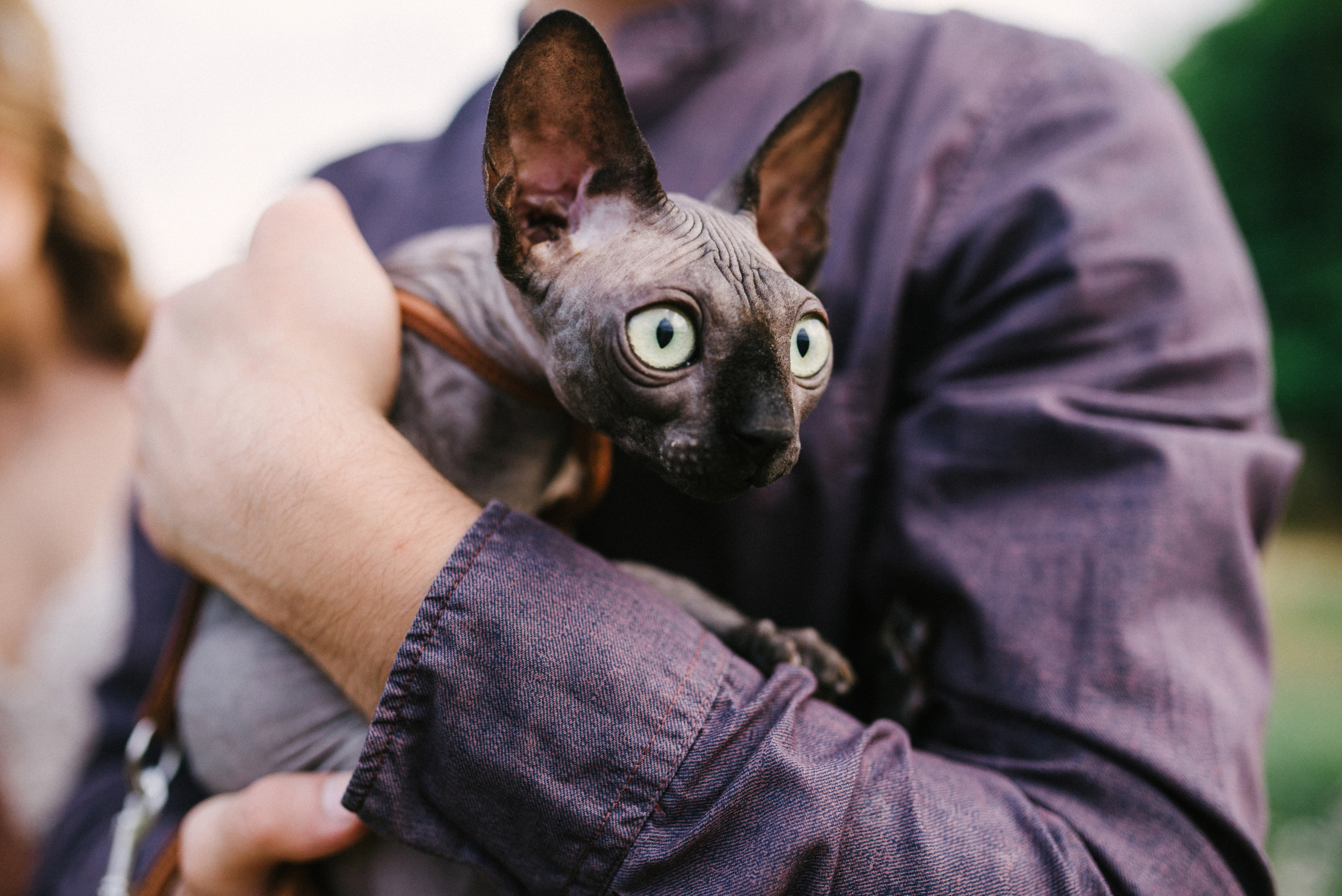 Lovely. FOTOGRAF Ryzhykova Valentyna Kraków Polska